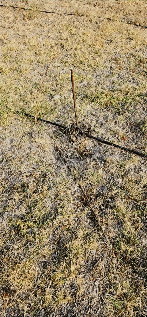 12000m Ceviz Bahcesi 2katlı Bağ Evi Yapılabilen Hava Alanına12km - Görsel 21