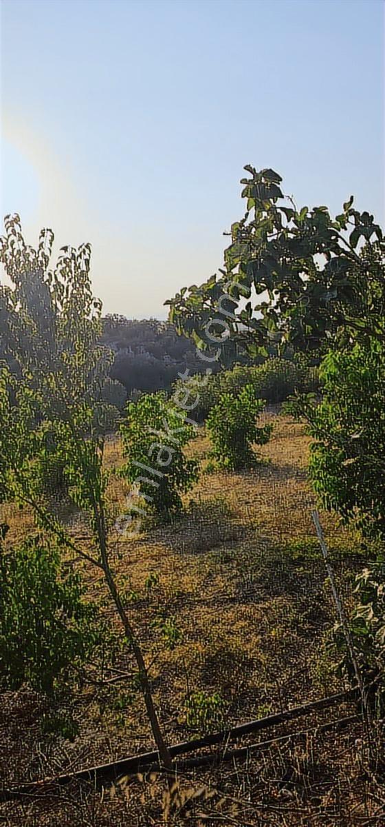 12000m Ceviz Bahcesi 2katlı Bağ Evi Yapılabilen Hava Alanına12km - Görsel 25
