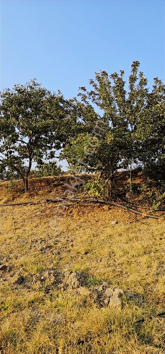 12000m Ceviz Bahcesi 2katlı Bağ Evi Yapılabilen Hava Alanına12km - Görsel 31