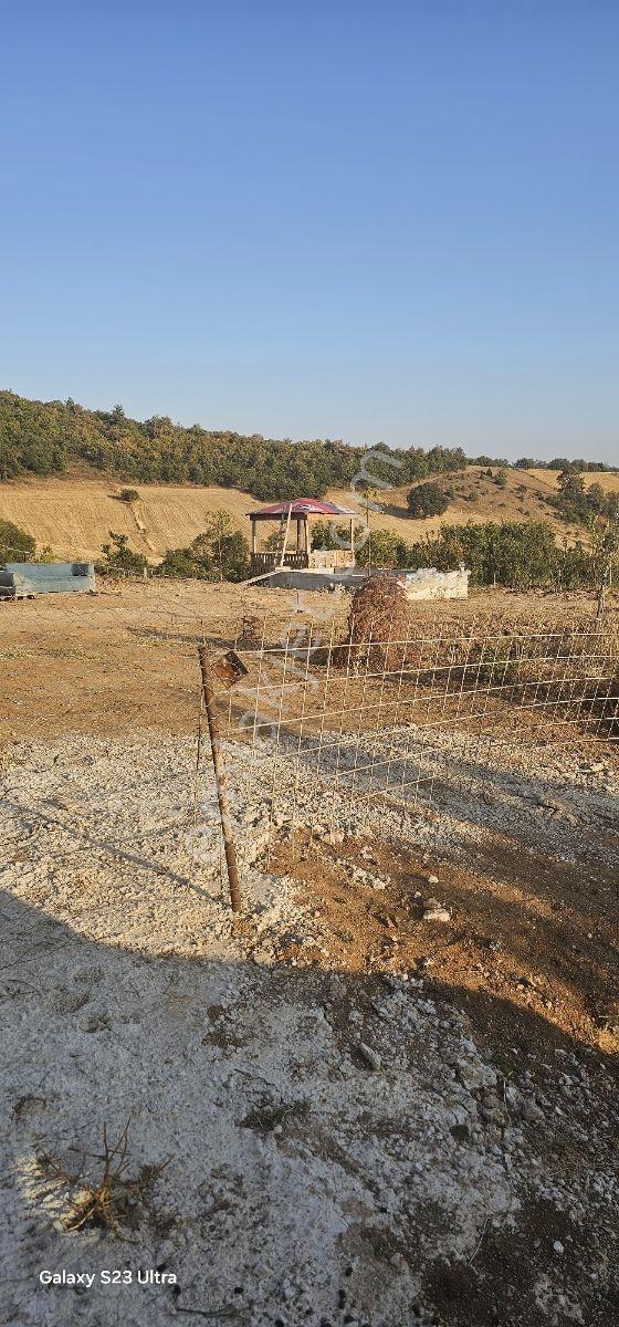 5438m Düz Resmi Yola Cepheli Yenişehir Manzaralı Fırsat Hobi Bah - Görsel 21