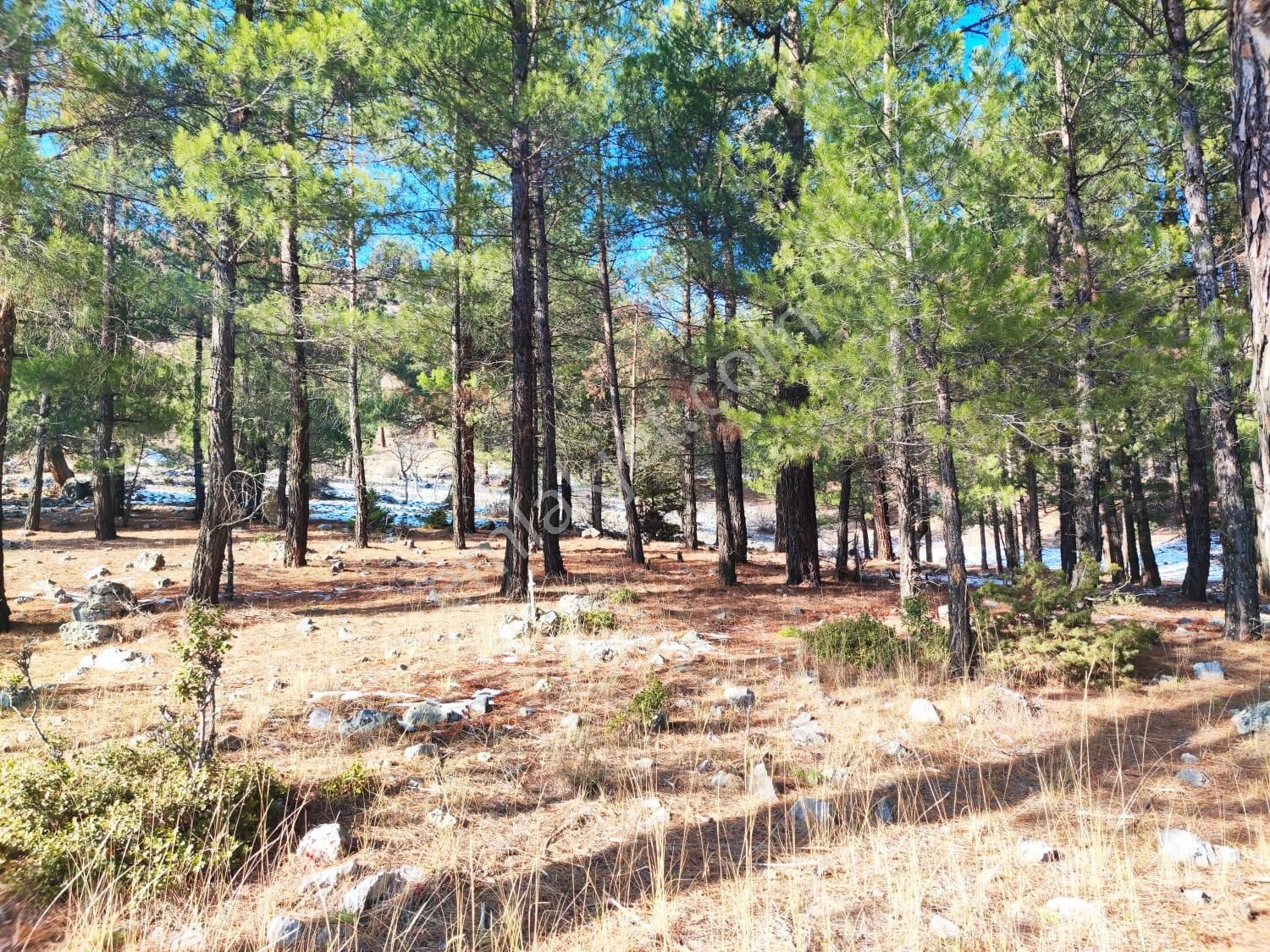 Kar Emlaktan Yenikonacık Kırıntı Mevkiinde 400 M2 Satılık Arsa - Görsel 4