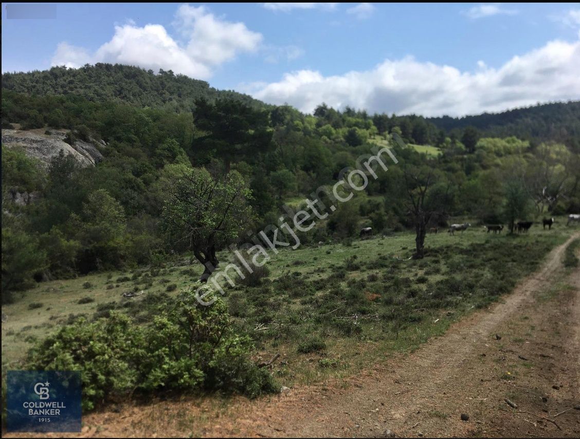 Çanakkale Serçiler Köyü'n De 8883 M2 Satılık Tarla