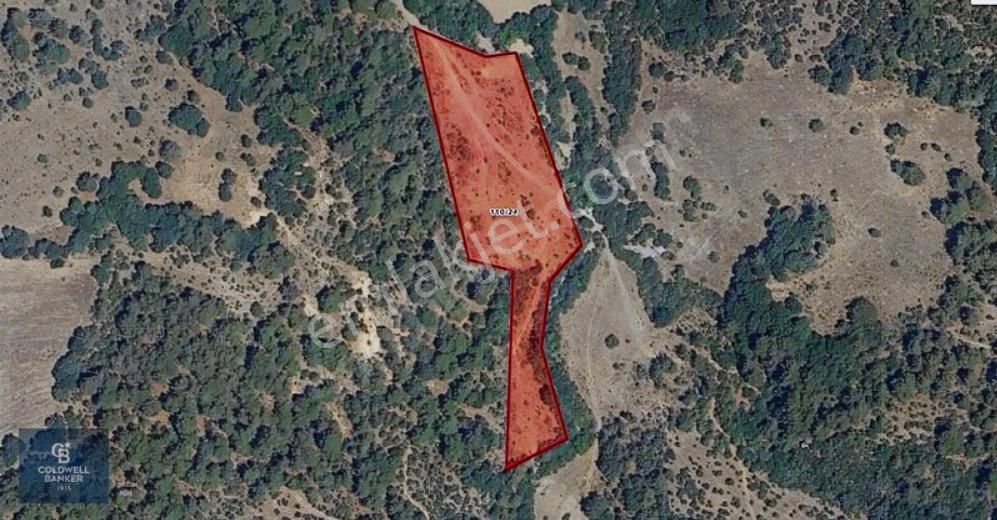 Çanakkale Serçiler Köyü'n De 8883 M2 Satılık Tarla - Görsel 5