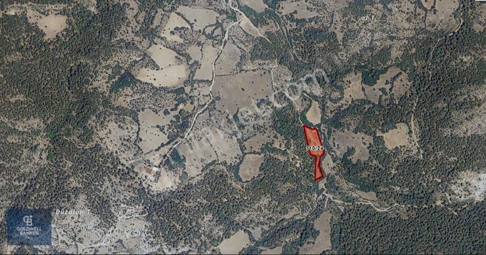 Çanakkale Serçiler Köyü'n De 8883 M2 Satılık Tarla - Görsel 6