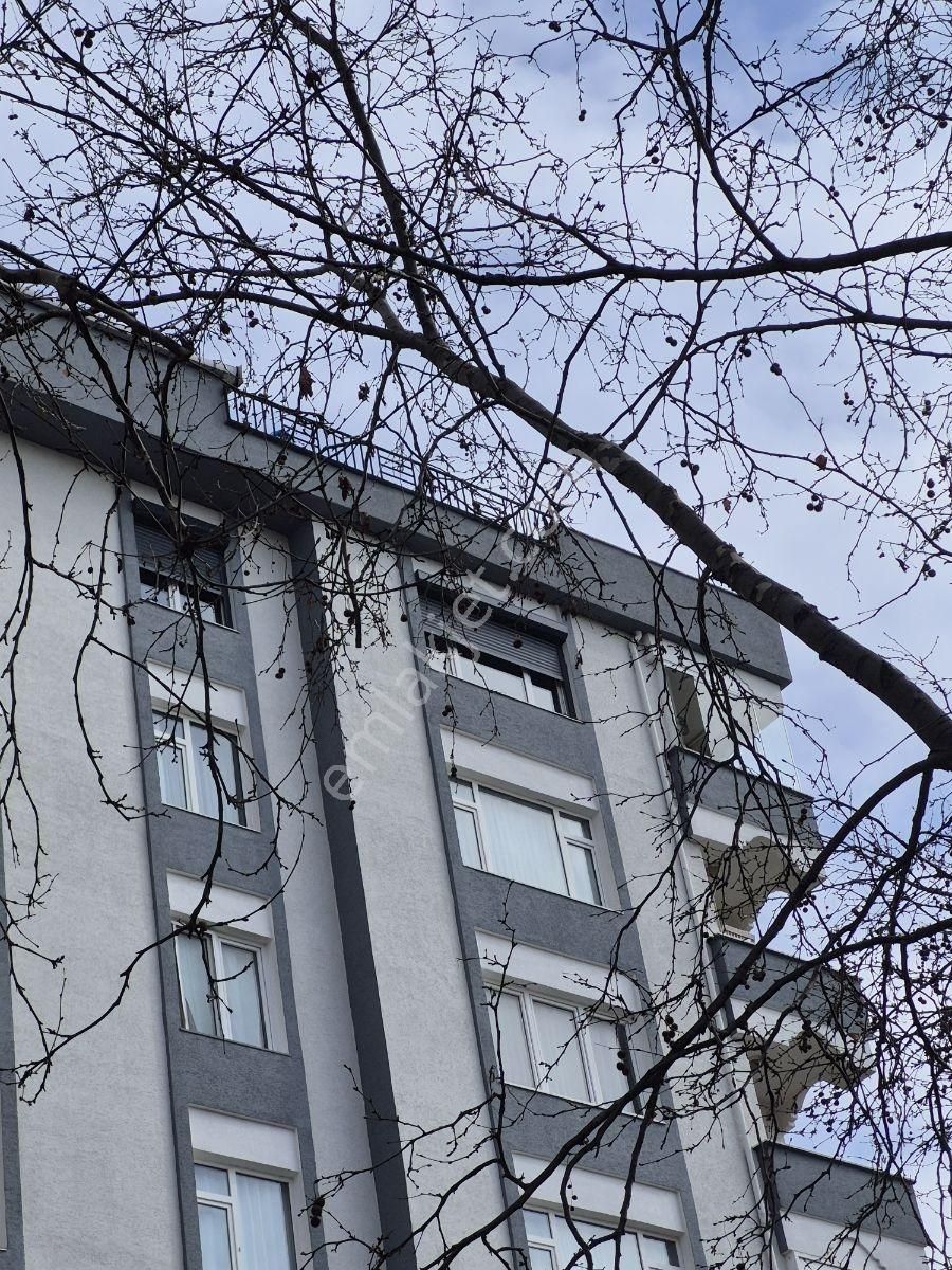 Muhteşem Manzaralı Hastasına Çatı Katı.. - Görsel 33