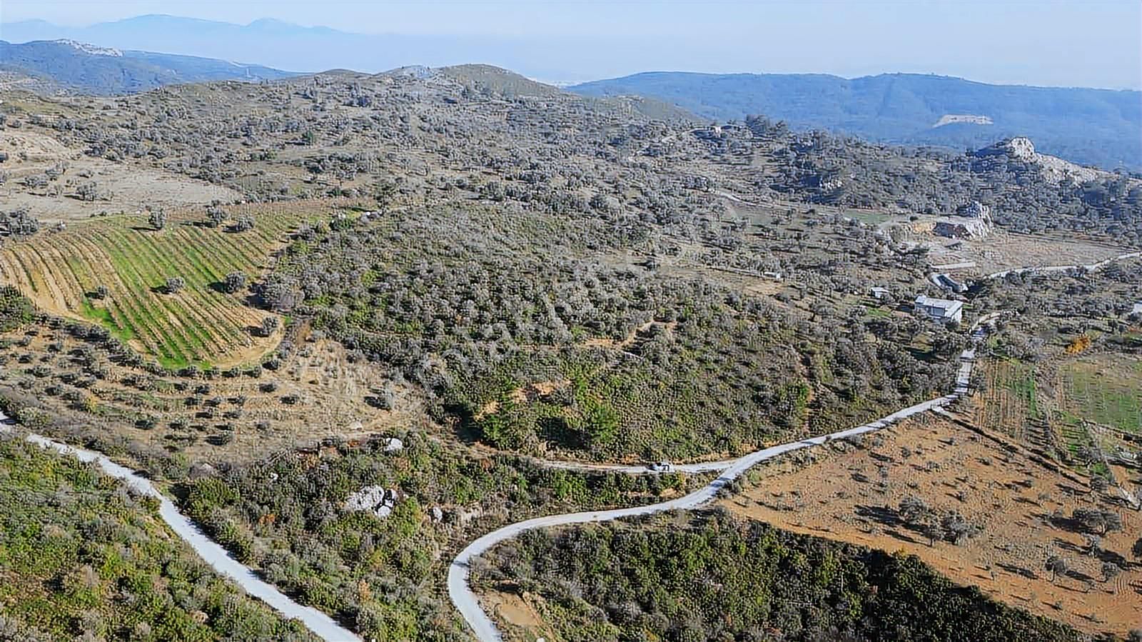 Menderes Çatalca'da Satılık Tarla - Görsel 8