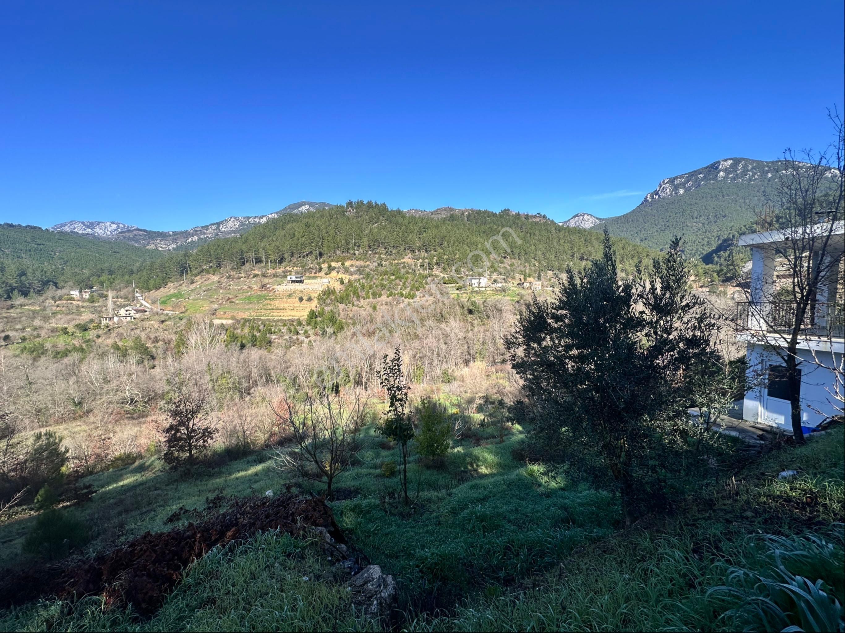 Alanya Sapaderede Bulunan 3.528 M2 Kurulu Düzen Tarla - Görsel 2