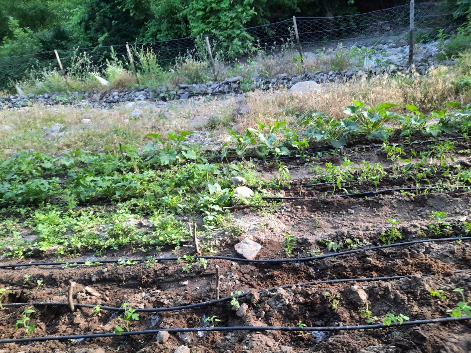 Tamer'dn Acil Satılık Çakırdere Mah.780m2 Su Kenarı Hobi Bahçesi - Görsel 5
