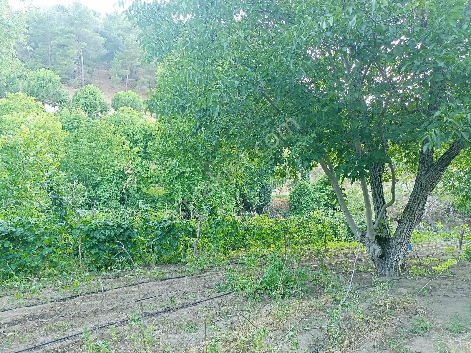 Tamer'dn Acil Satılık Çakırdere Mah.780m2 Su Kenarı Hobi Bahçesi - Görsel 25