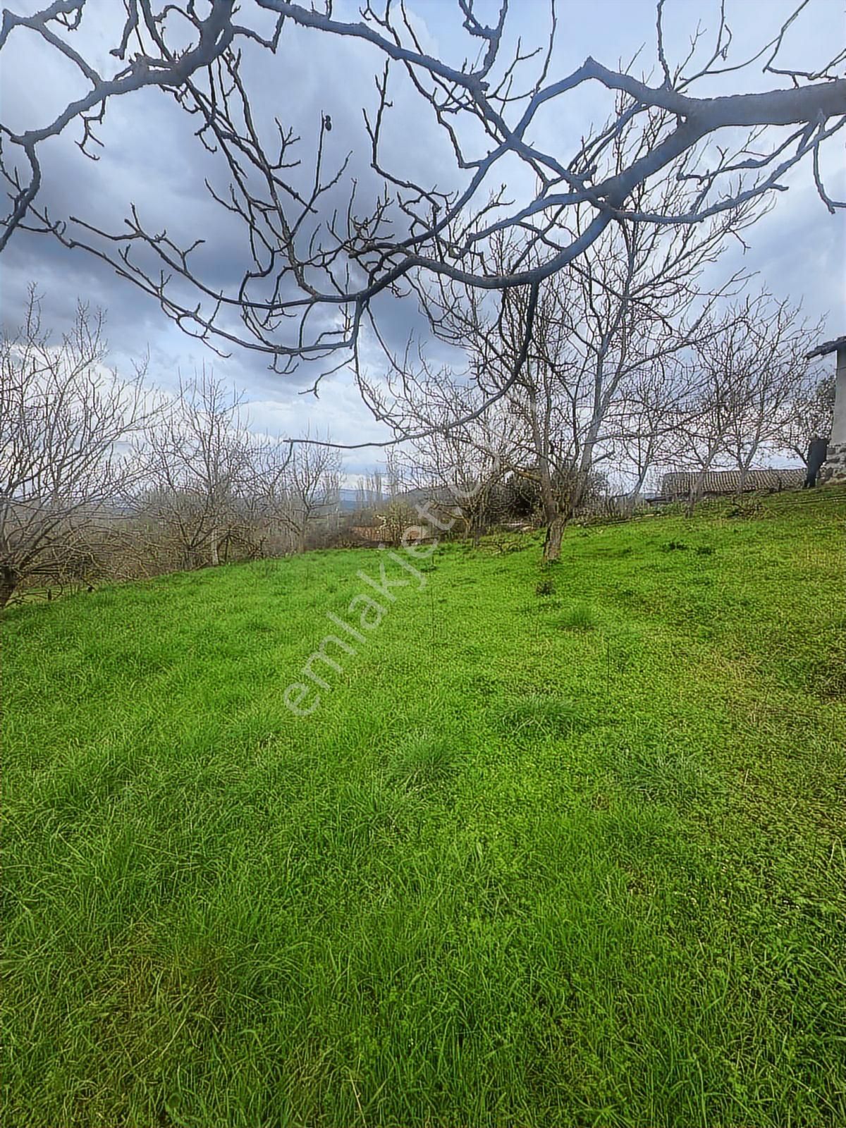 Tamer'den Herkesin Hayali Olan Bahçeli Köy Evi - Görsel 15