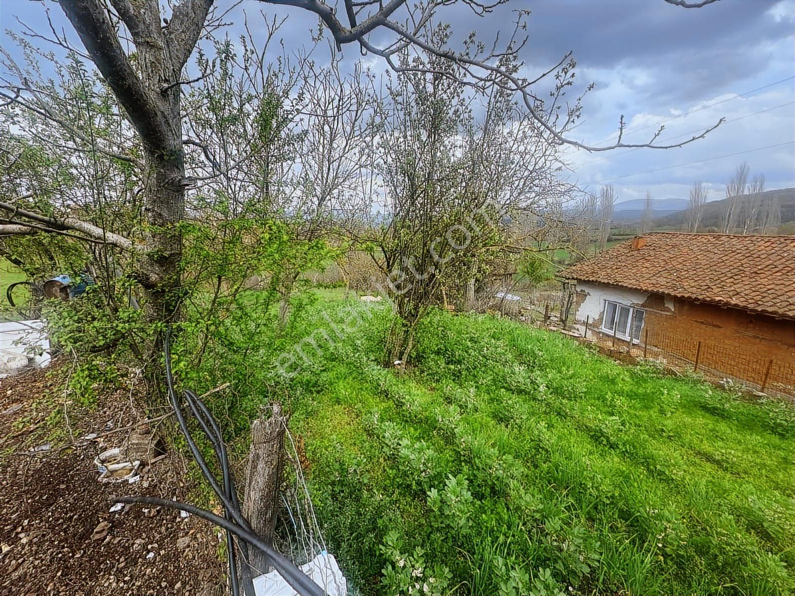 Tamer'den Herkesin Hayali Olan Bahçeli Köy Evi - Görsel 21