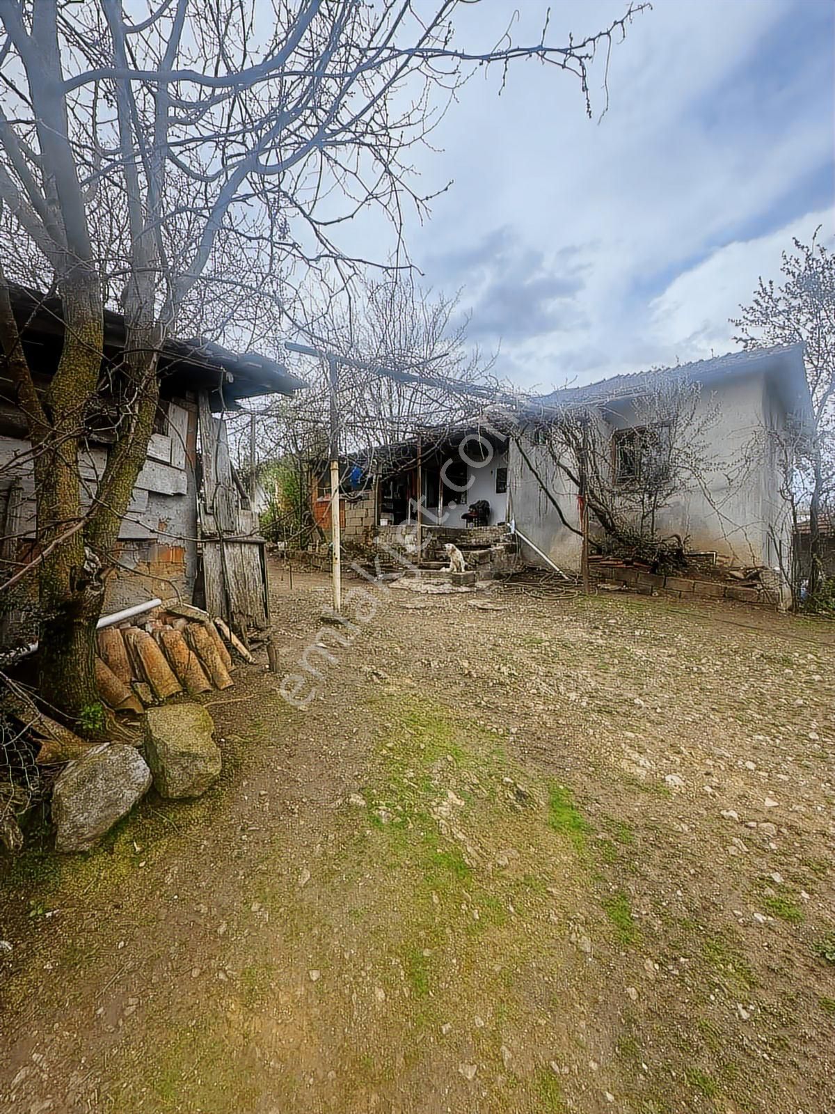 Tamer'den Herkesin Hayali Olan Bahçeli Köy Evi - Görsel 6