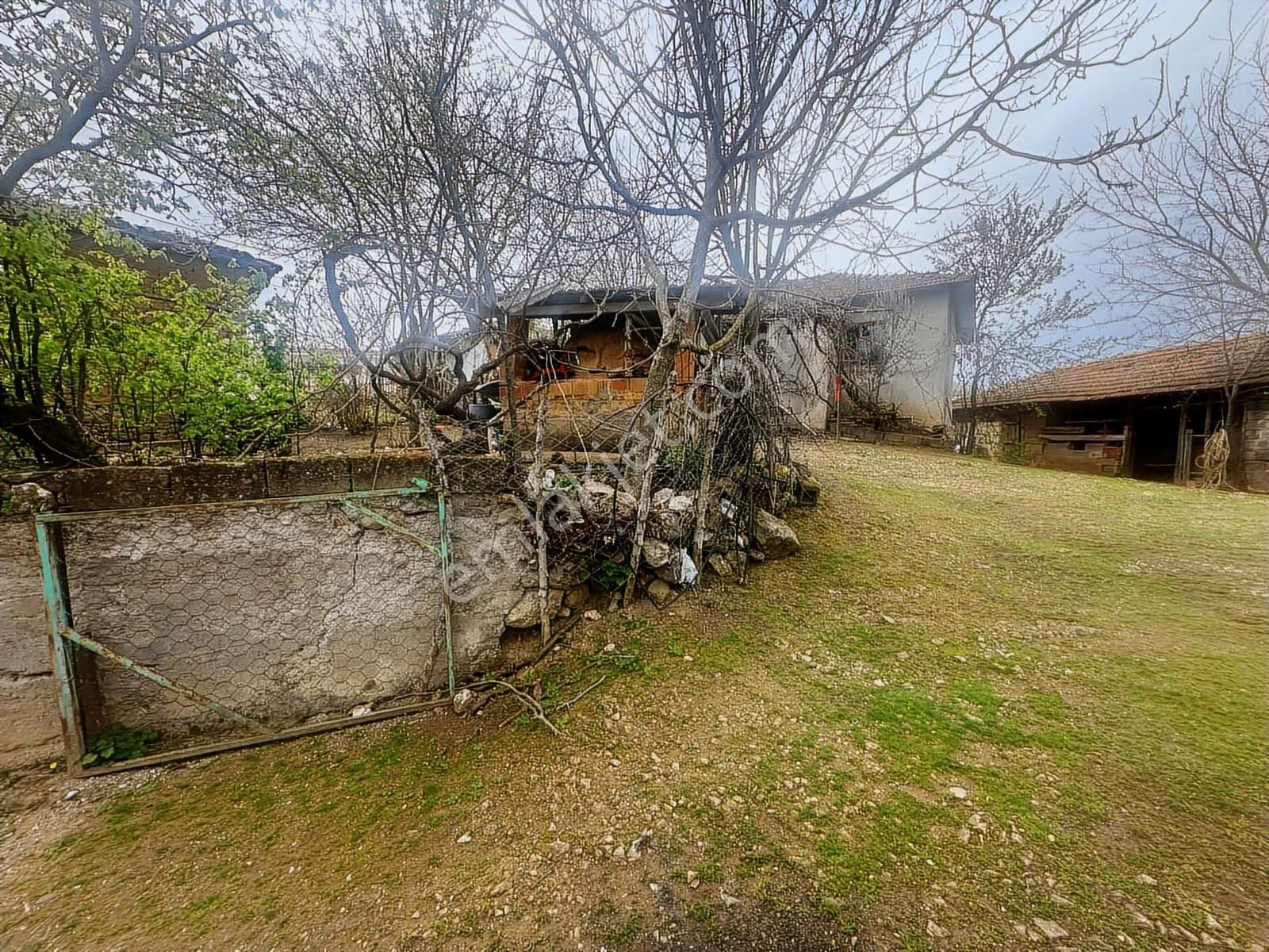 Tamer'den Herkesin Hayali Olan Bahçeli Köy Evi - Görsel 19