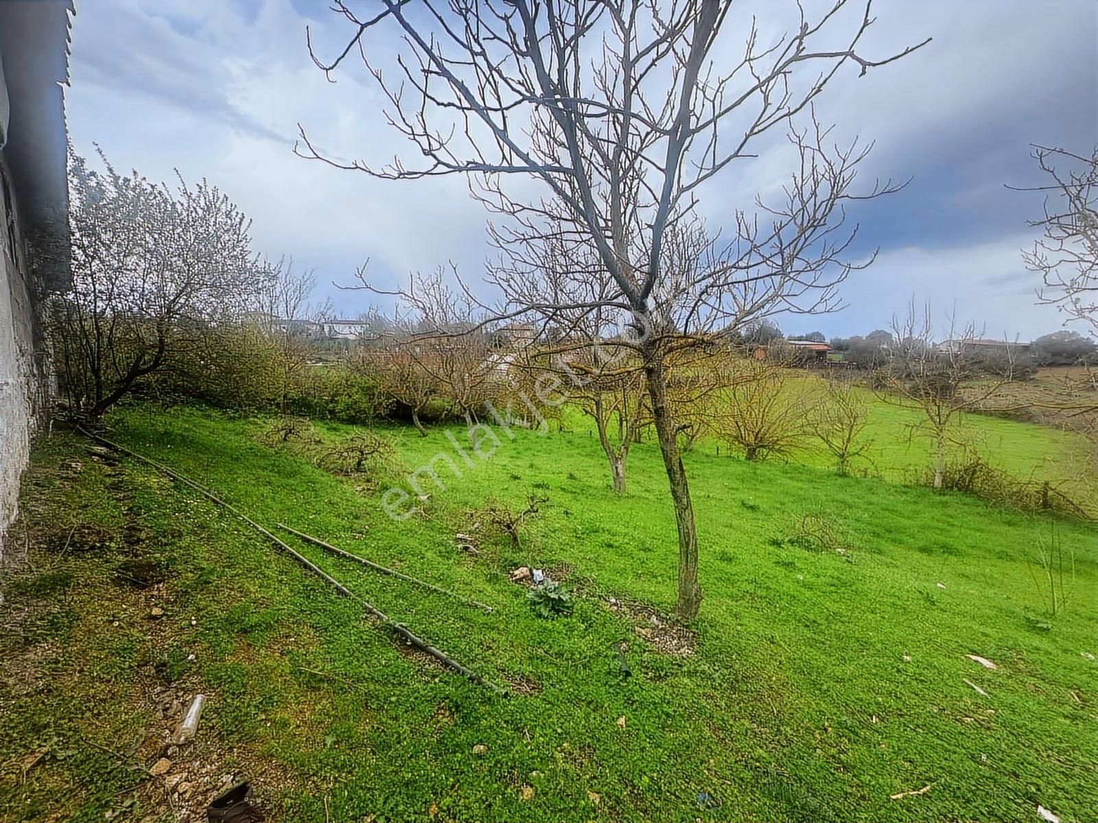 Tamer'den Herkesin Hayali Olan Bahçeli Köy Evi - Görsel 17