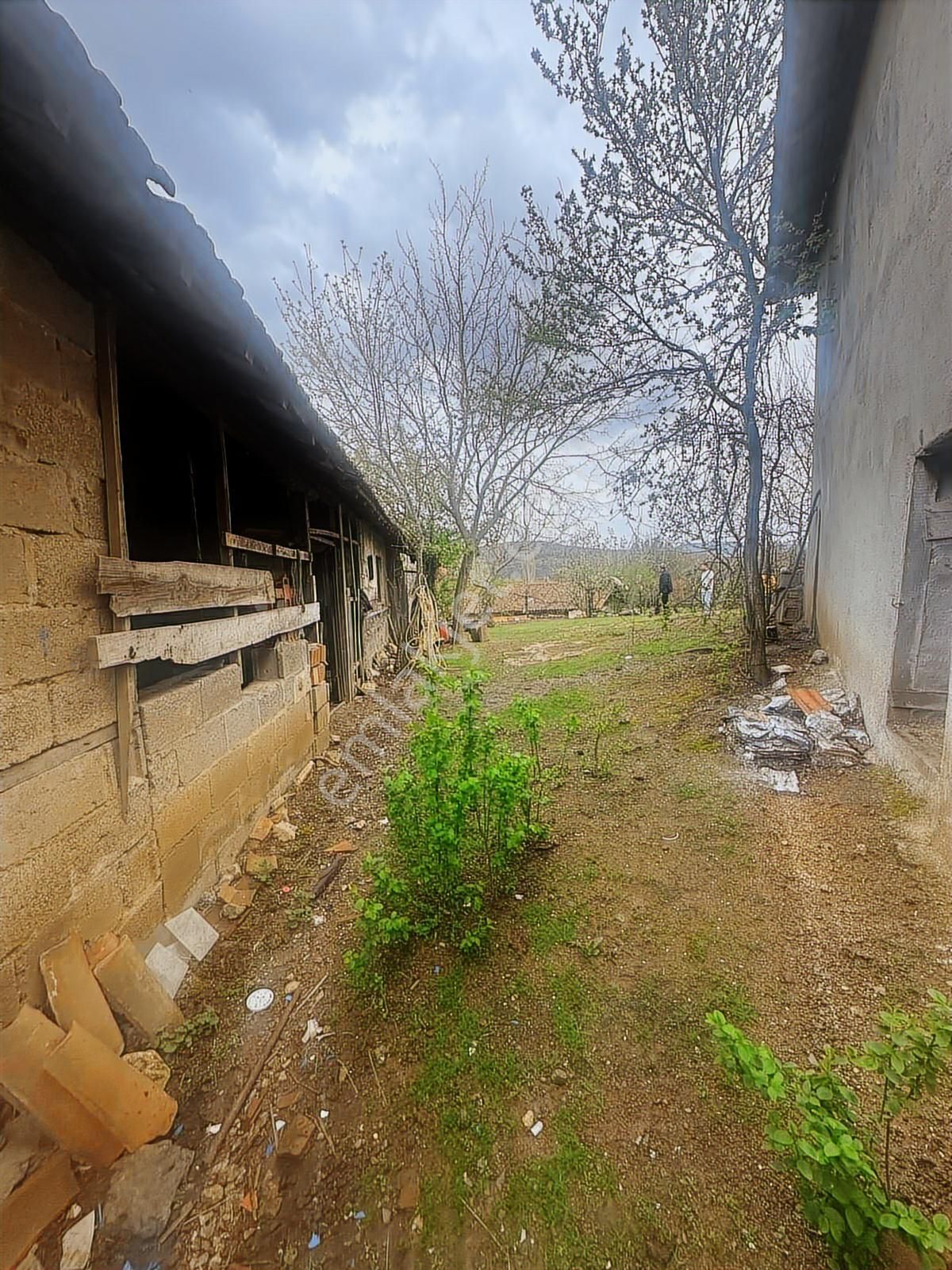 Tamer'den Herkesin Hayali Olan Bahçeli Köy Evi - Görsel 11