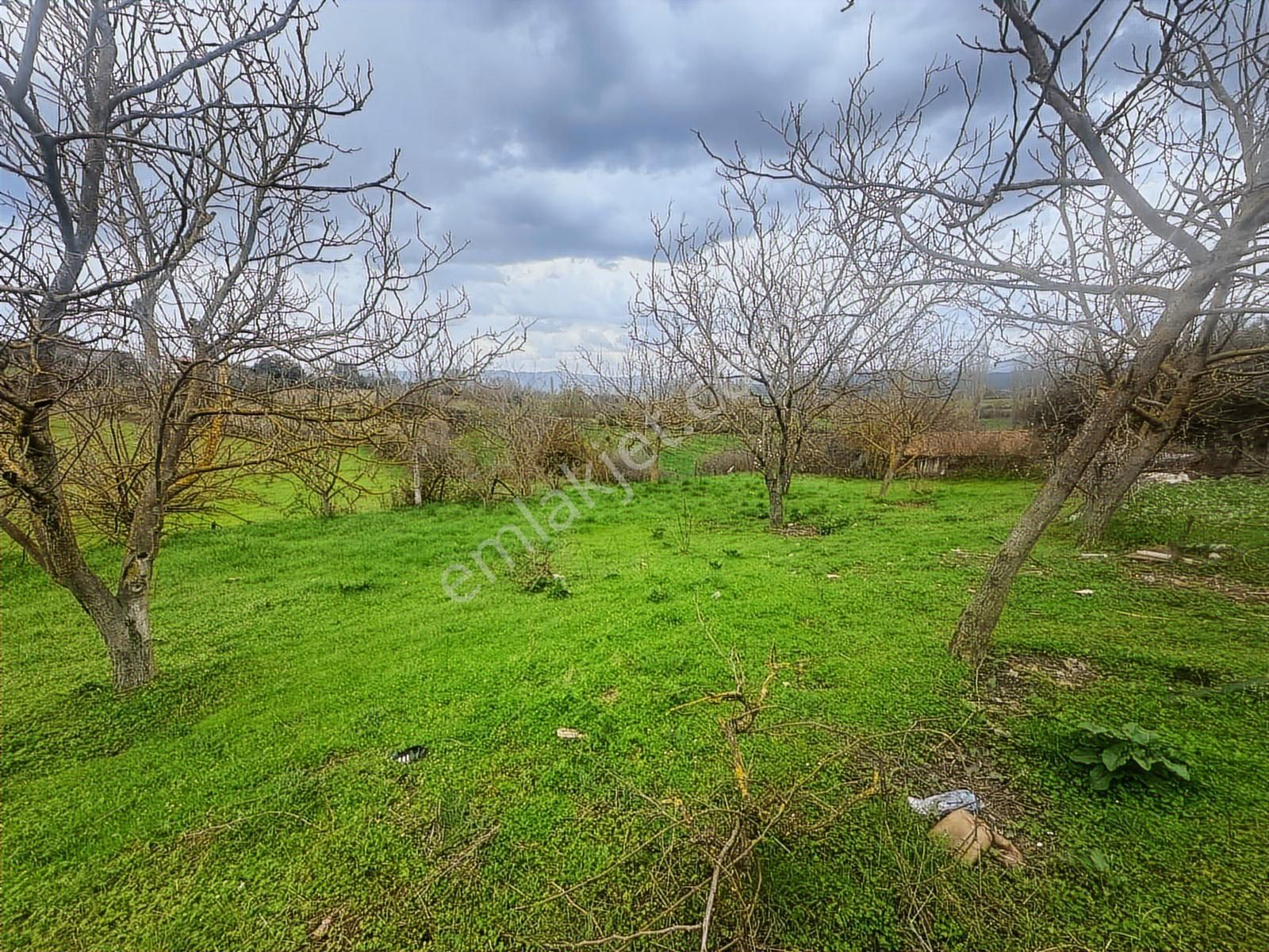 Tamer'den Herkesin Hayali Olan Bahçeli Köy Evi - Görsel 23