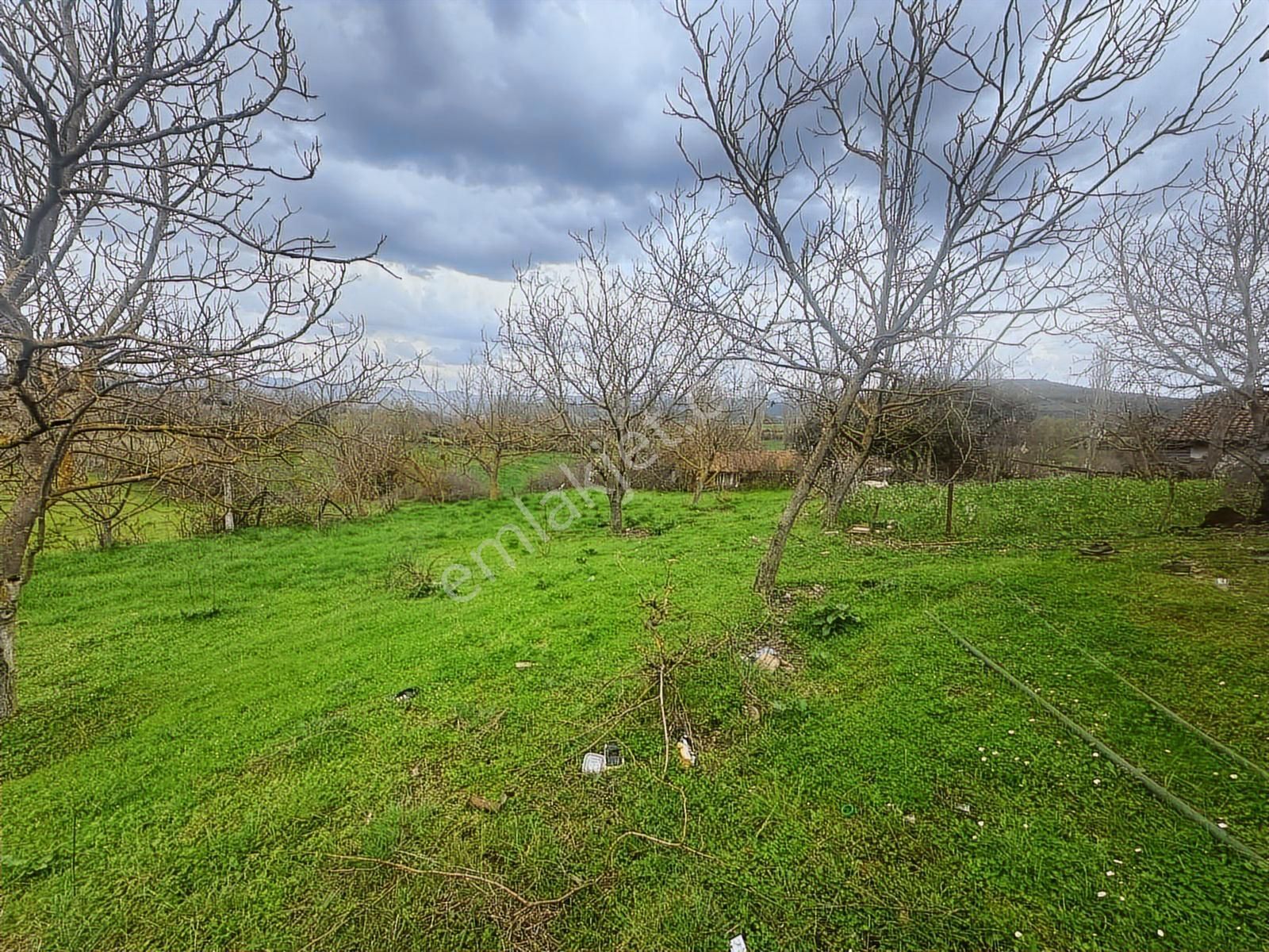 Tamer'den Herkesin Hayali Olan Bahçeli Köy Evi - Görsel 3