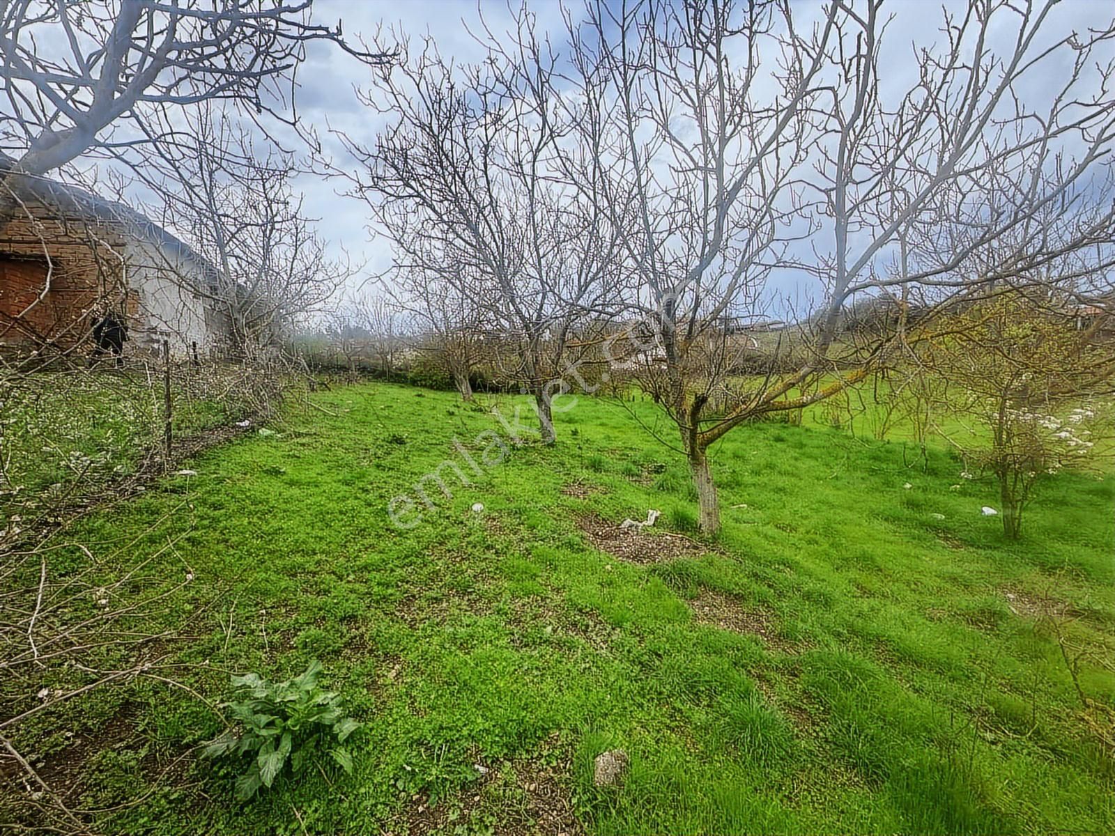 Tamer'den Herkesin Hayali Olan Bahçeli Köy Evi - Görsel 16