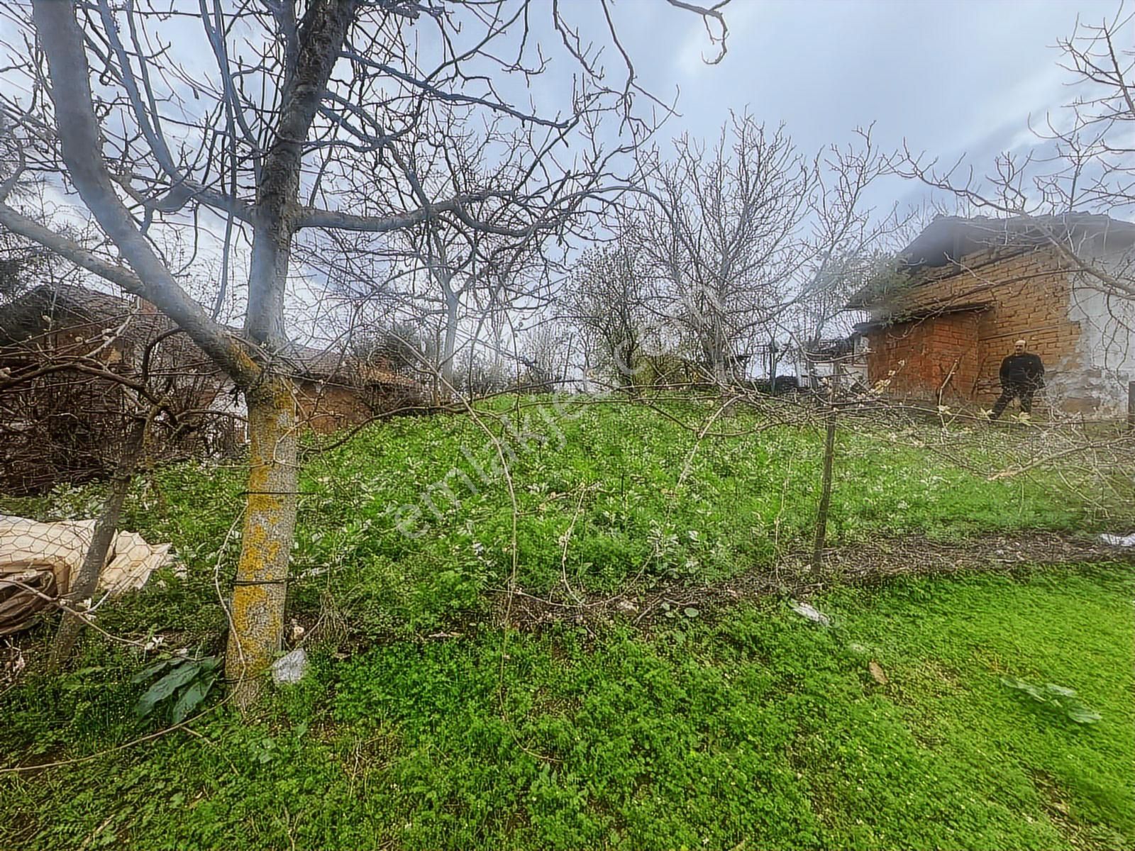 Tamer'den Herkesin Hayali Olan Bahçeli Köy Evi - Görsel 20