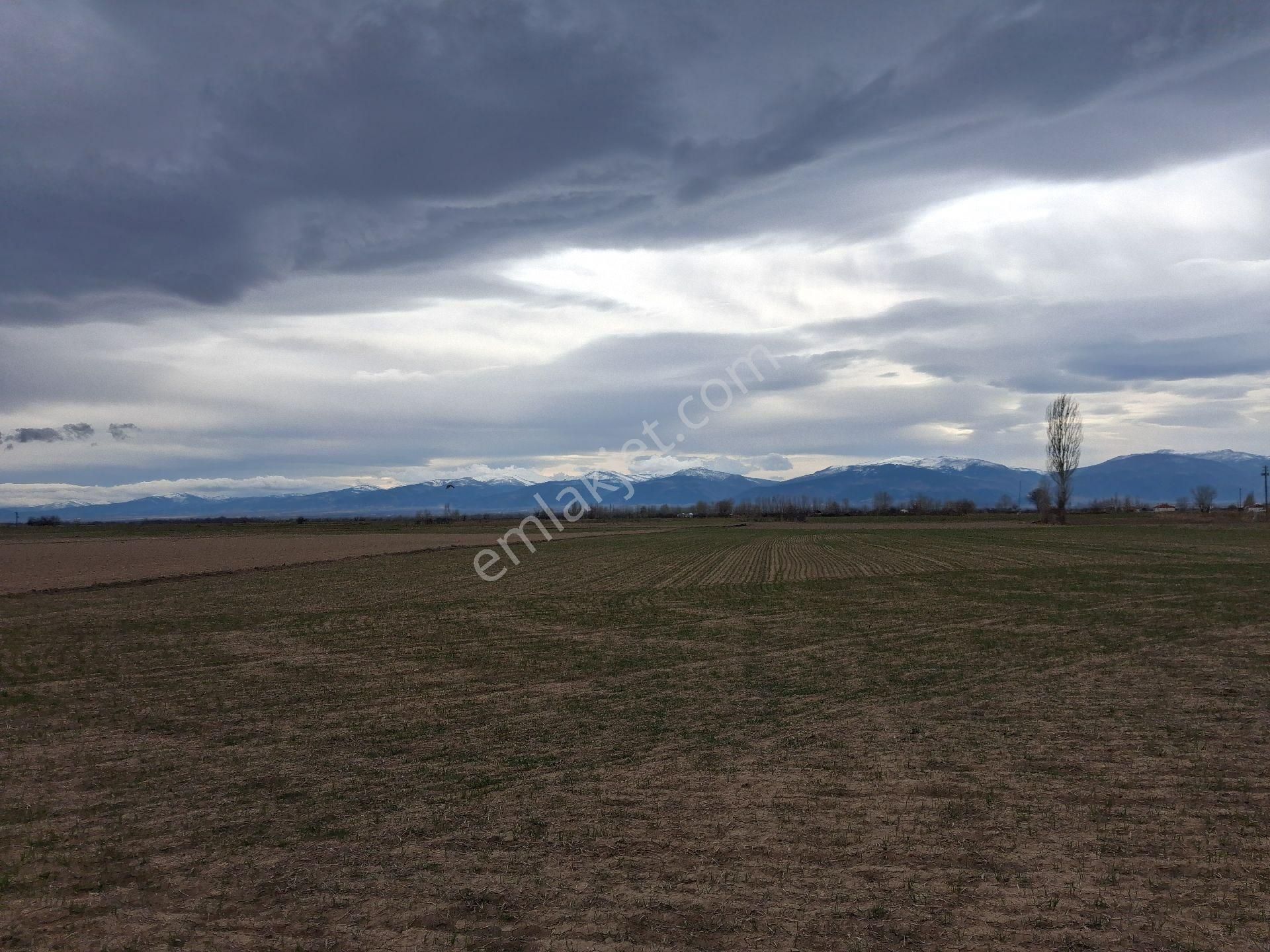 Daglı Emlaktan Yazla - Görsel 4