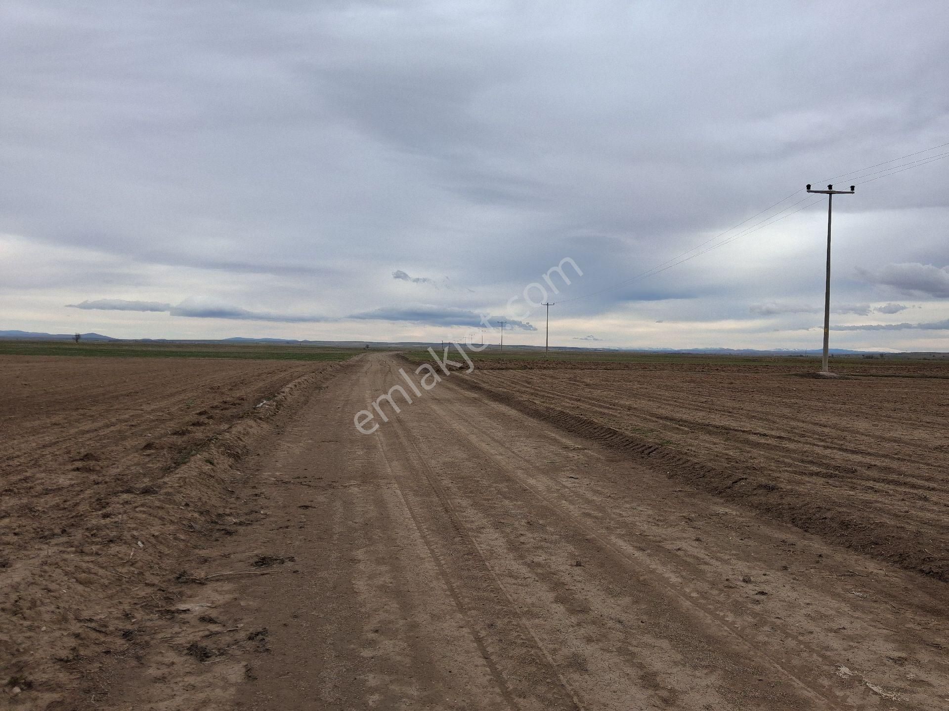 Daglı Emlaktan Yazla