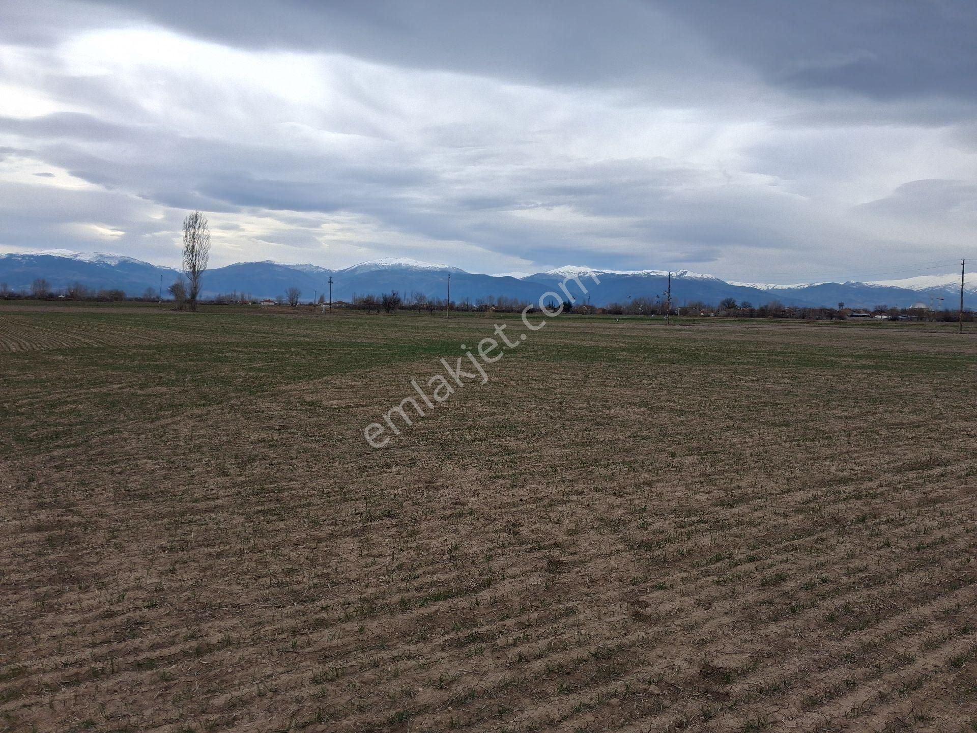 Daglı Emlaktan Yazla - Görsel 2