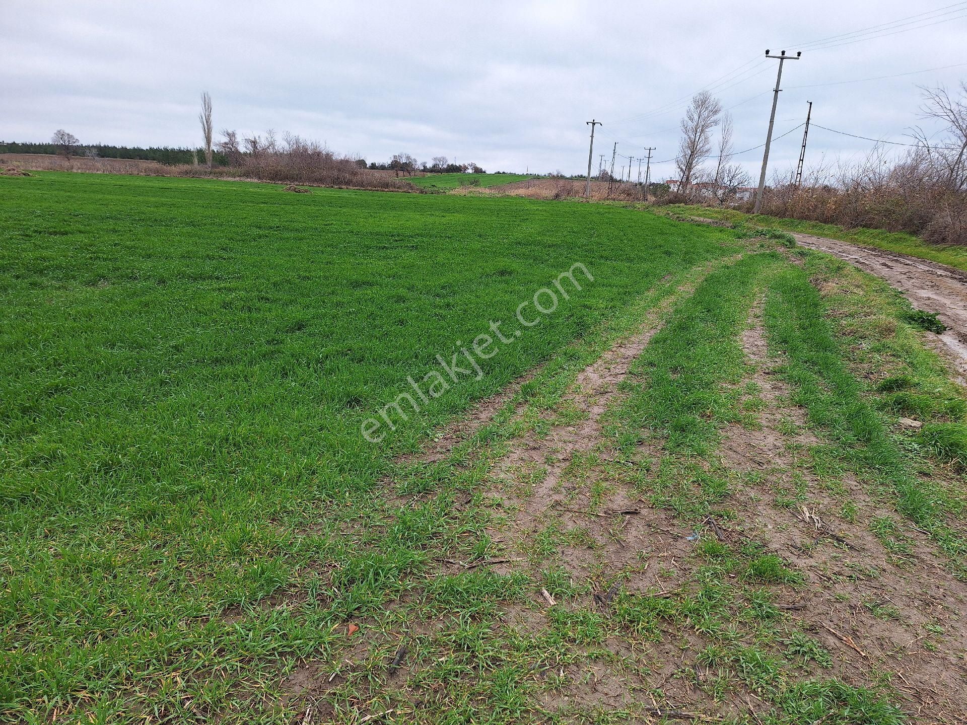 Tekirdağ 11 Dönem Arsa - Görsel 4