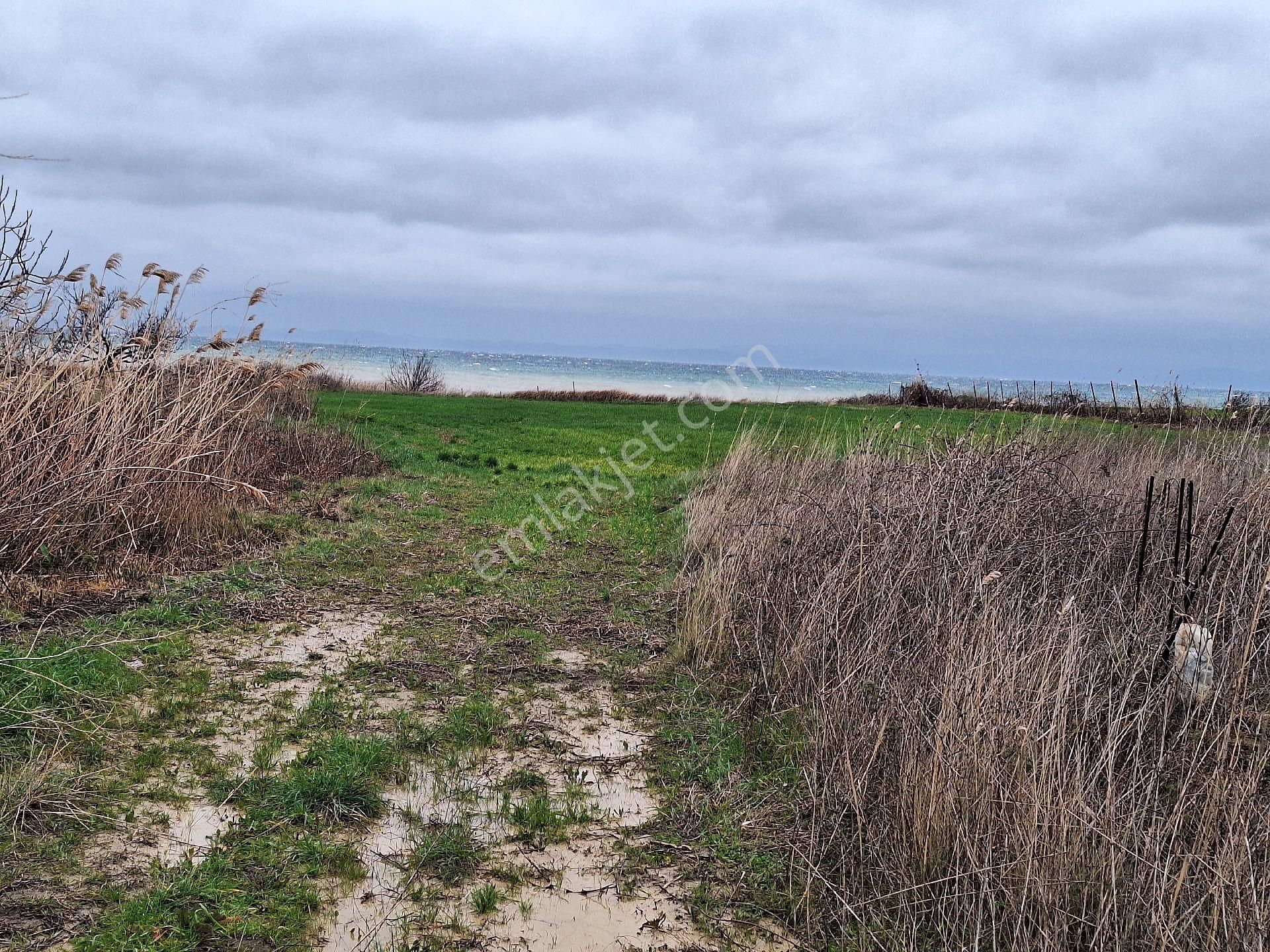 Tekirdağ 11 Dönem Arsa - Görsel 3