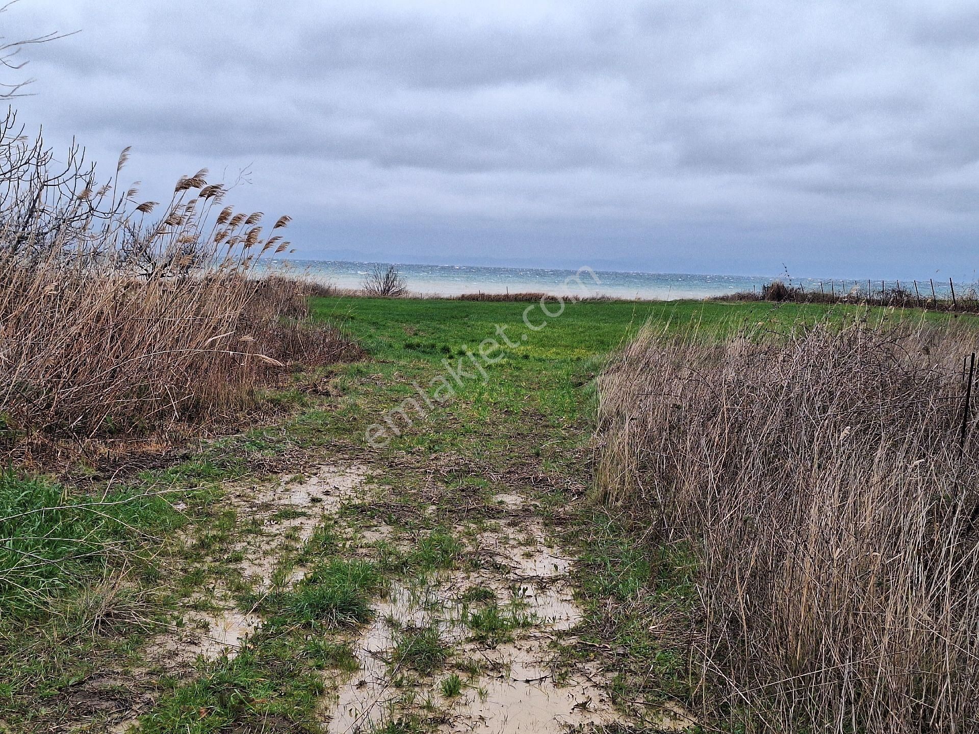 Tekirdağ 11 Dönem Arsa - Görsel 2