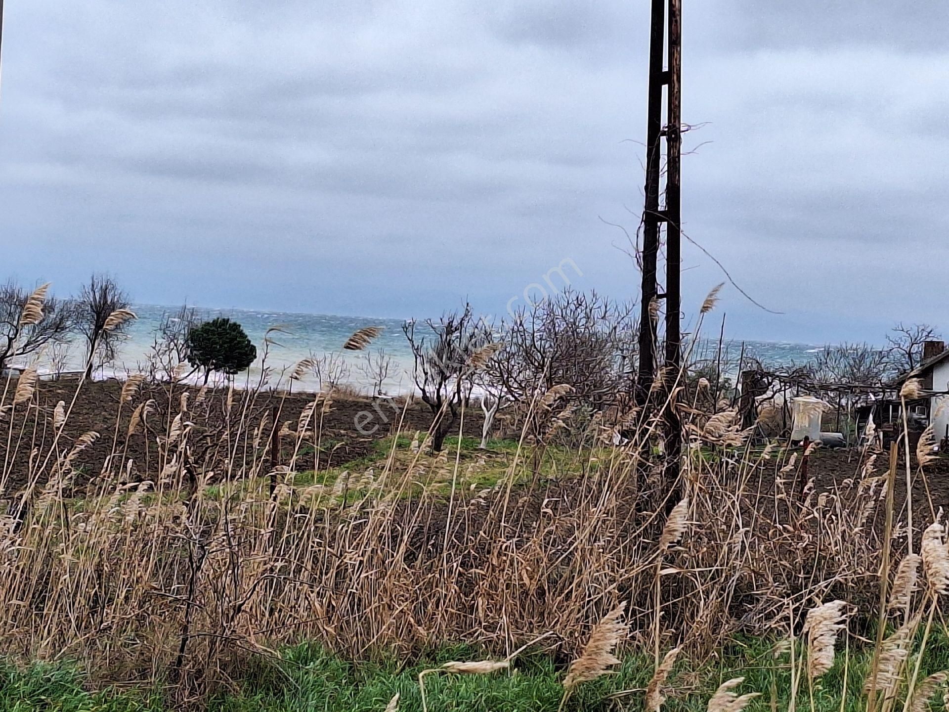 Tekirdağ 11 Dönem Arsa - Görsel 7