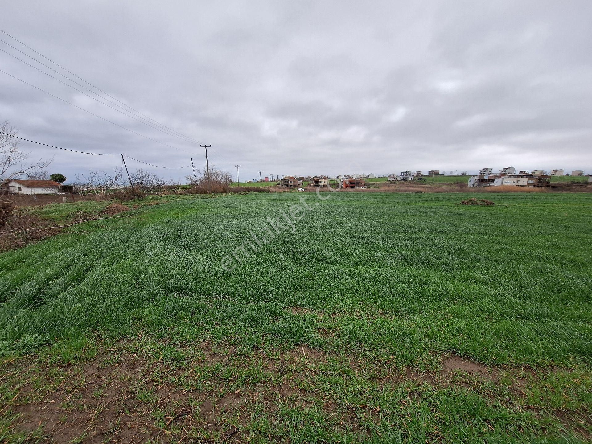 Tekirdağ 11 Dönem Arsa - Görsel 5