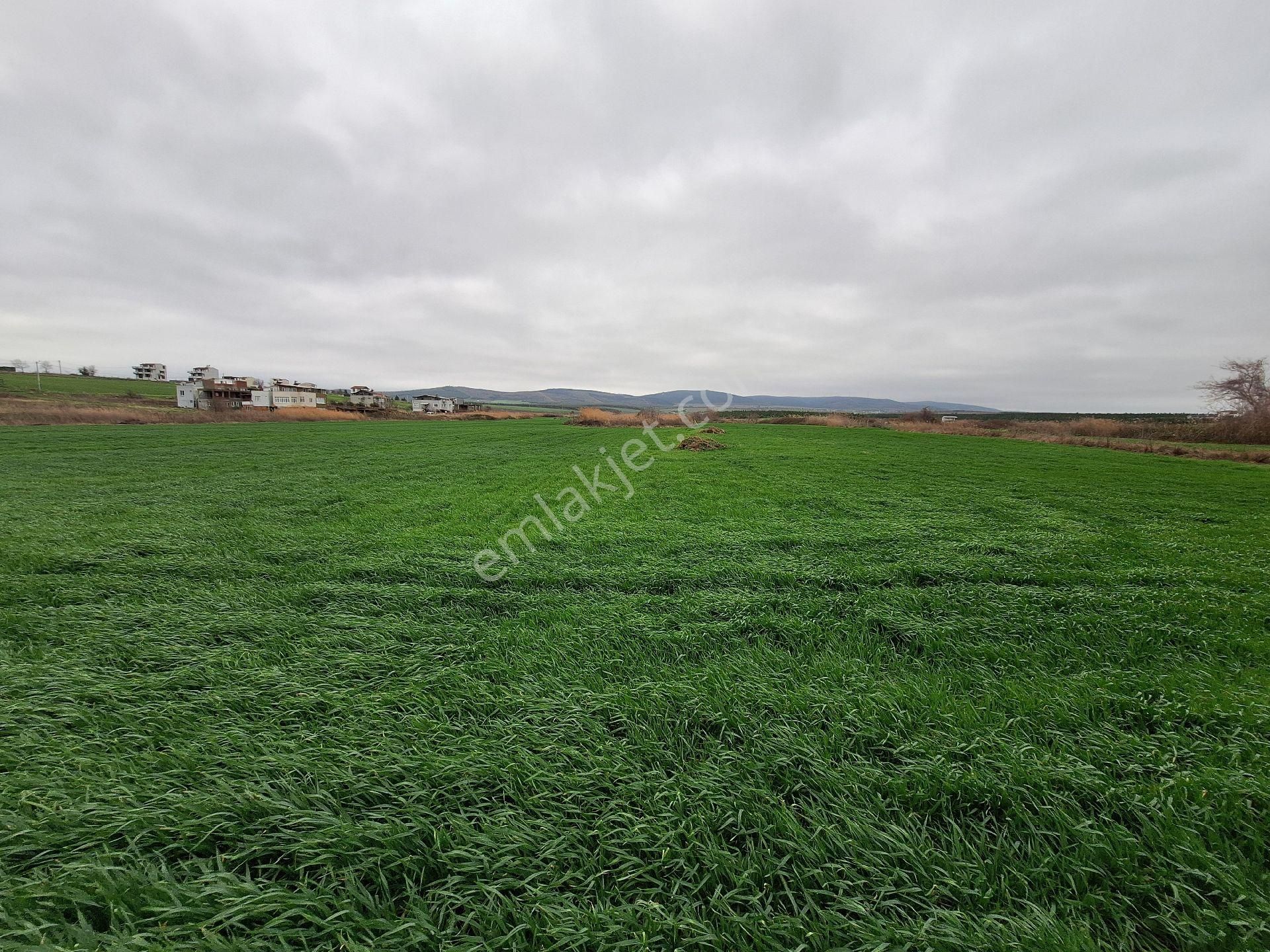 Tekirdağ 11 Dönem Arsa - Görsel 6