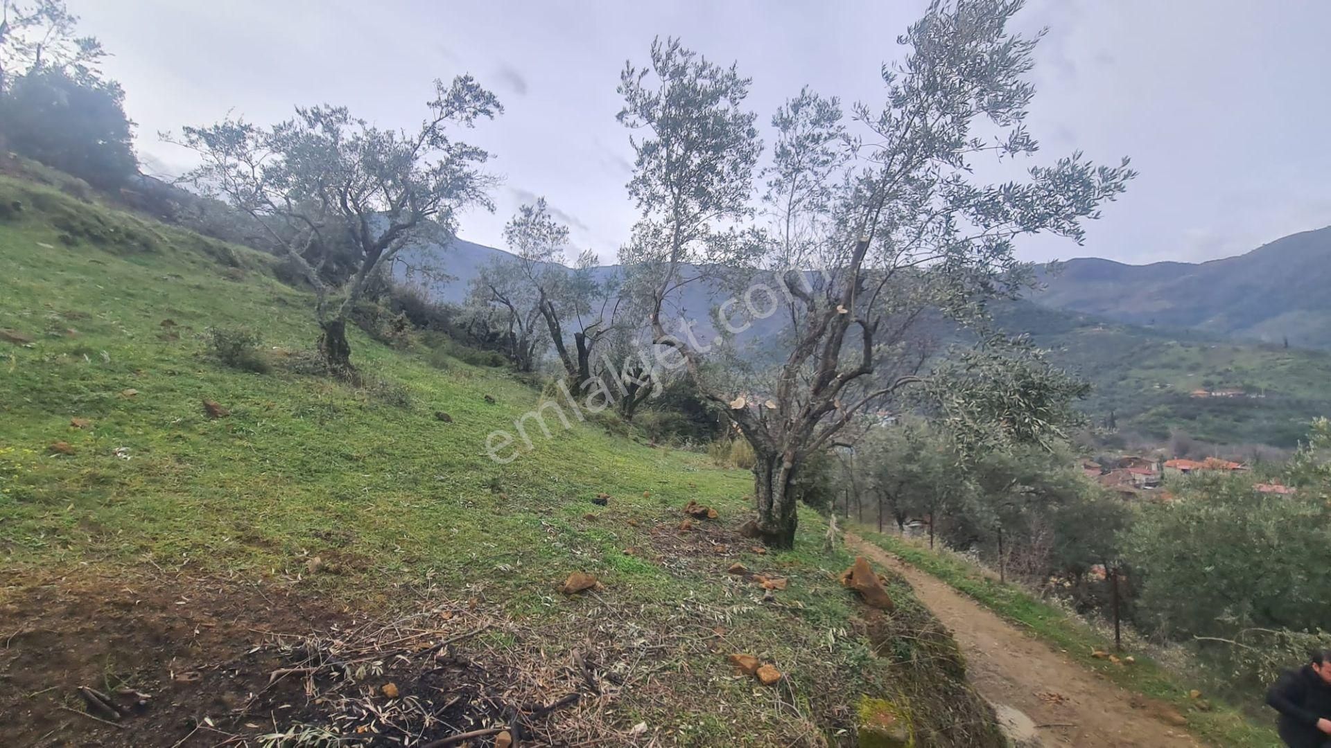 Antika Gayrimenkul'den Bademli De Satılık 326 M2 İmarlı Arsa - Görsel 21