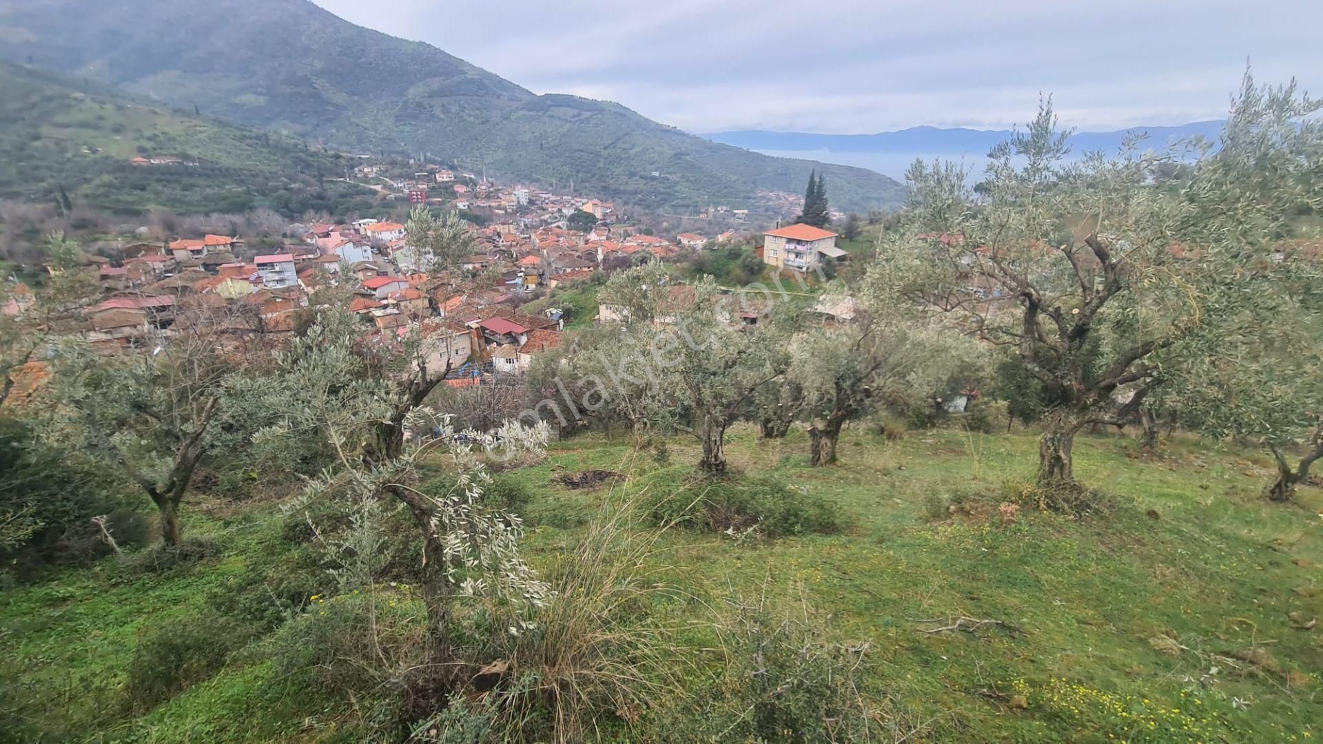 Antika Gayrimenkul'den Bademli De Satılık 326 M2 İmarlı Arsa - Görsel 24