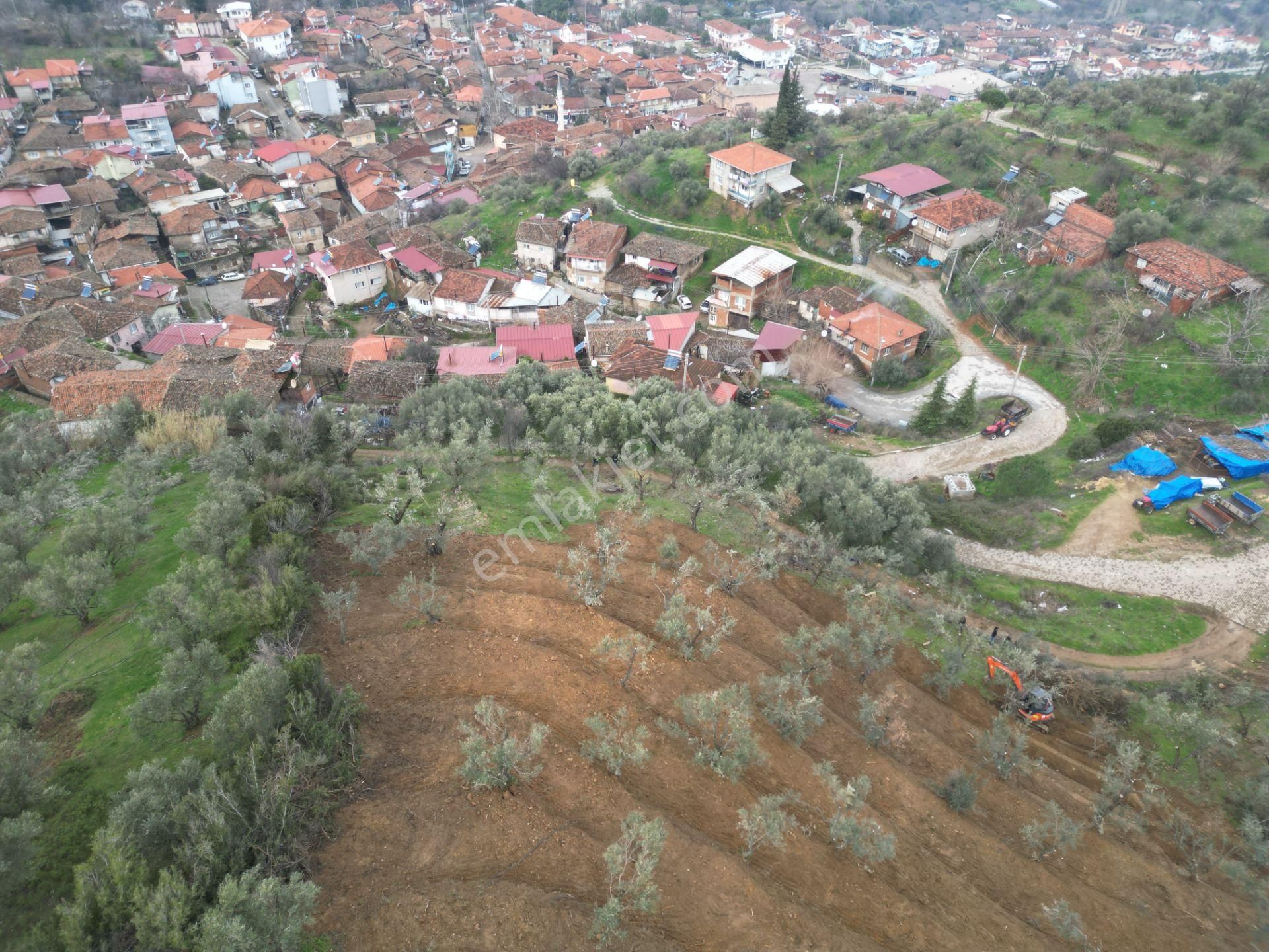 Antika Gayrimenkul'den Bademli De Satılık 326 M2 İmarlı Arsa - Görsel 6