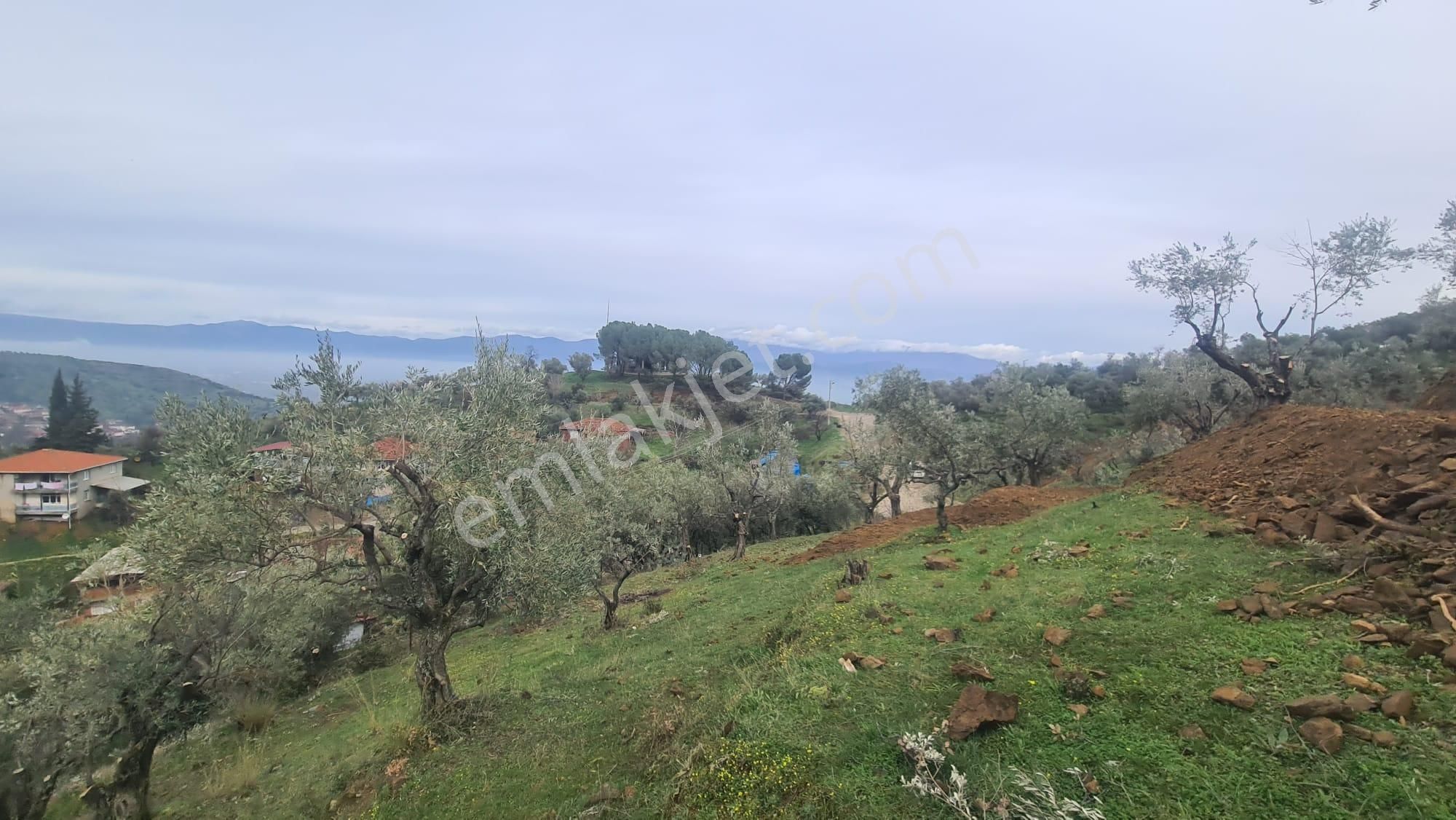 Antika Gayrimenkul'den Bademli De Satılık 326 M2 İmarlı Arsa - Görsel 26