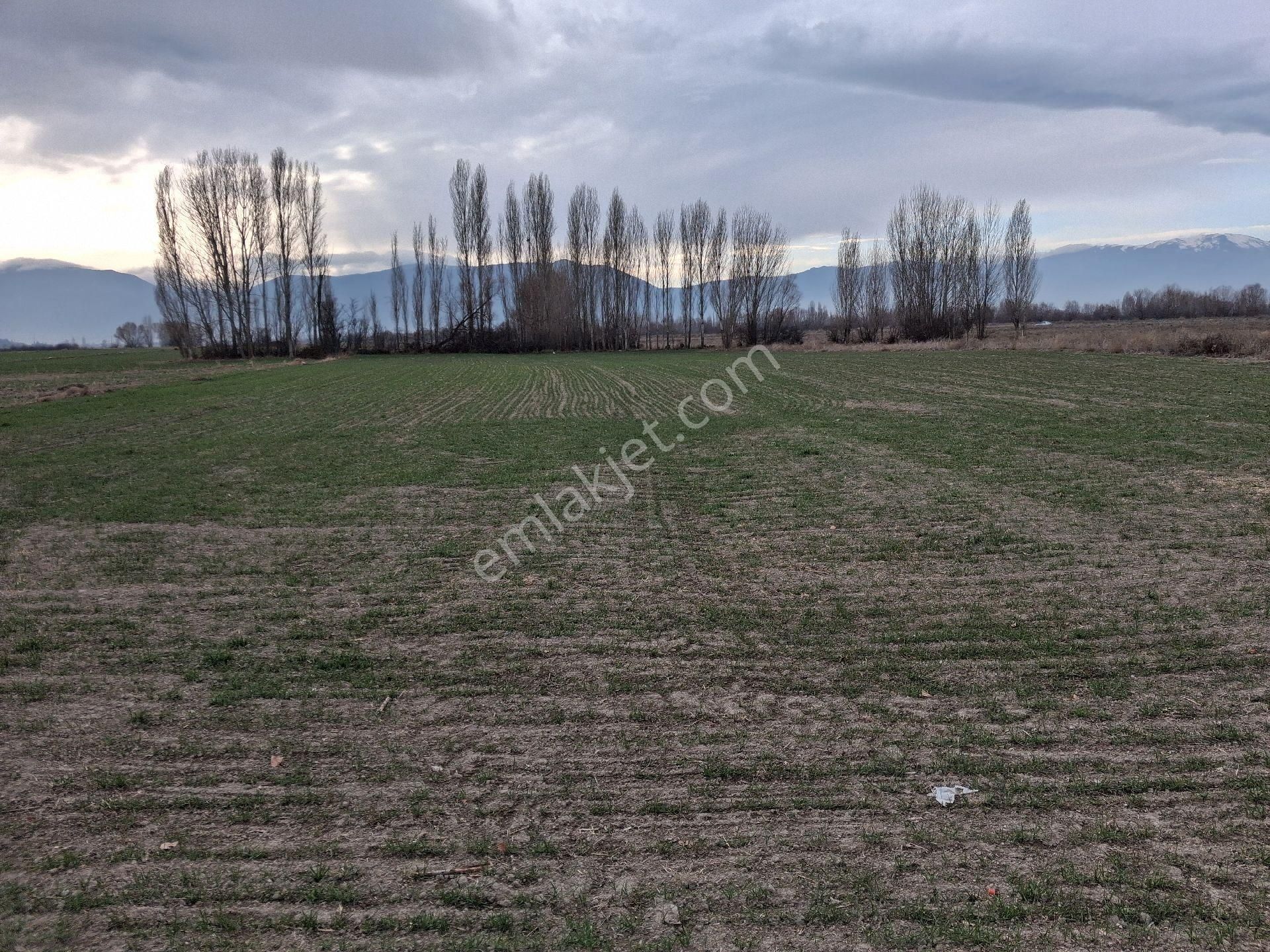 Dagli Emlaktan Yazla Mahallesinde - Görsel 4