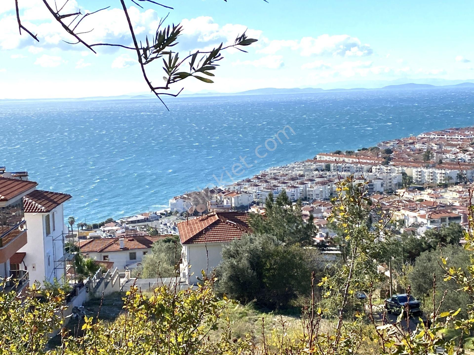 🌀gültaş Emlaktan Satılık Altınolukta Full Deniz Manzaralı Zeytinlik