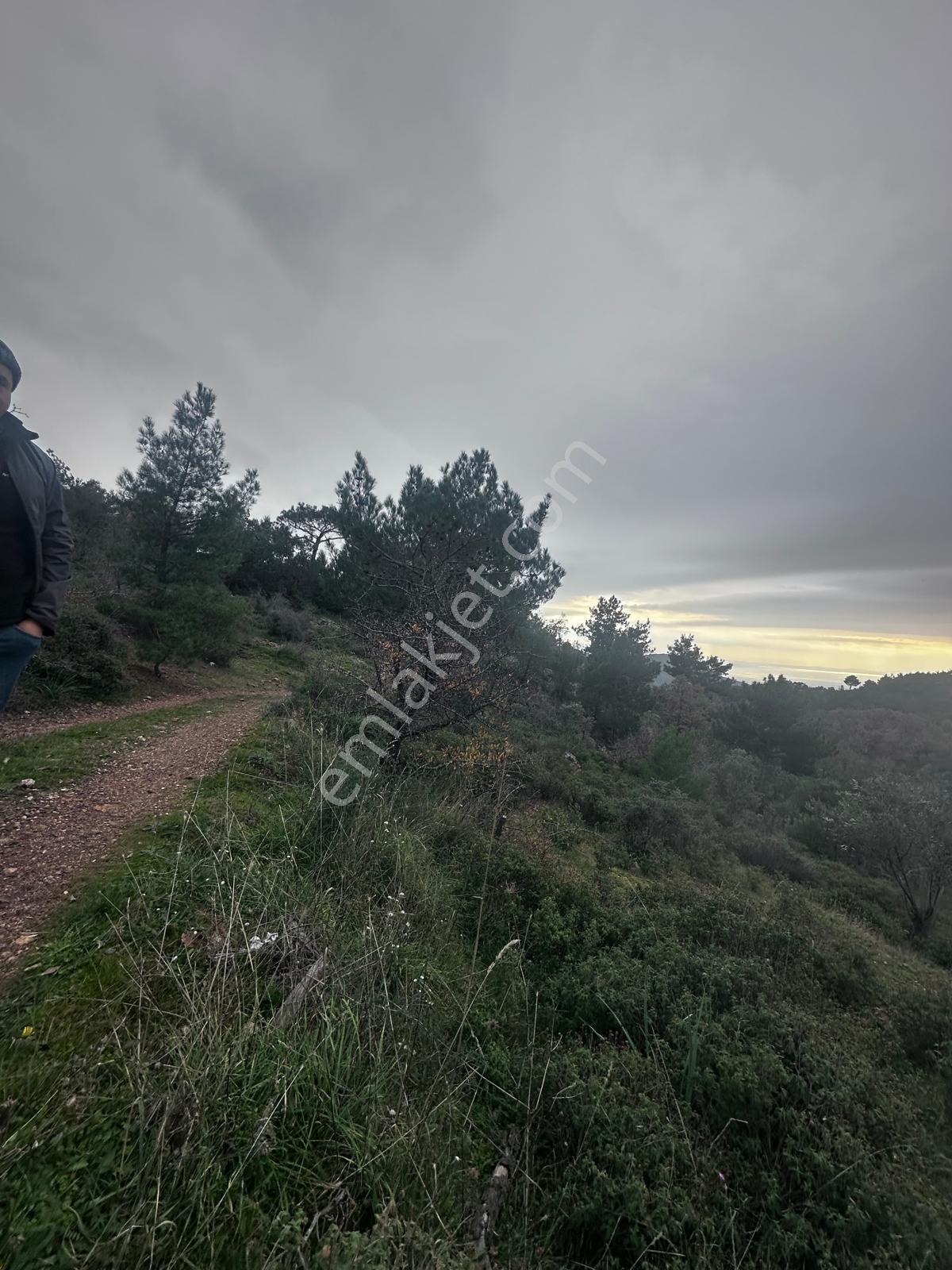 Tamer'den Çetmibaşında Doğa Ve Deniz Manzaralı Satılık Tarla - Görsel 19