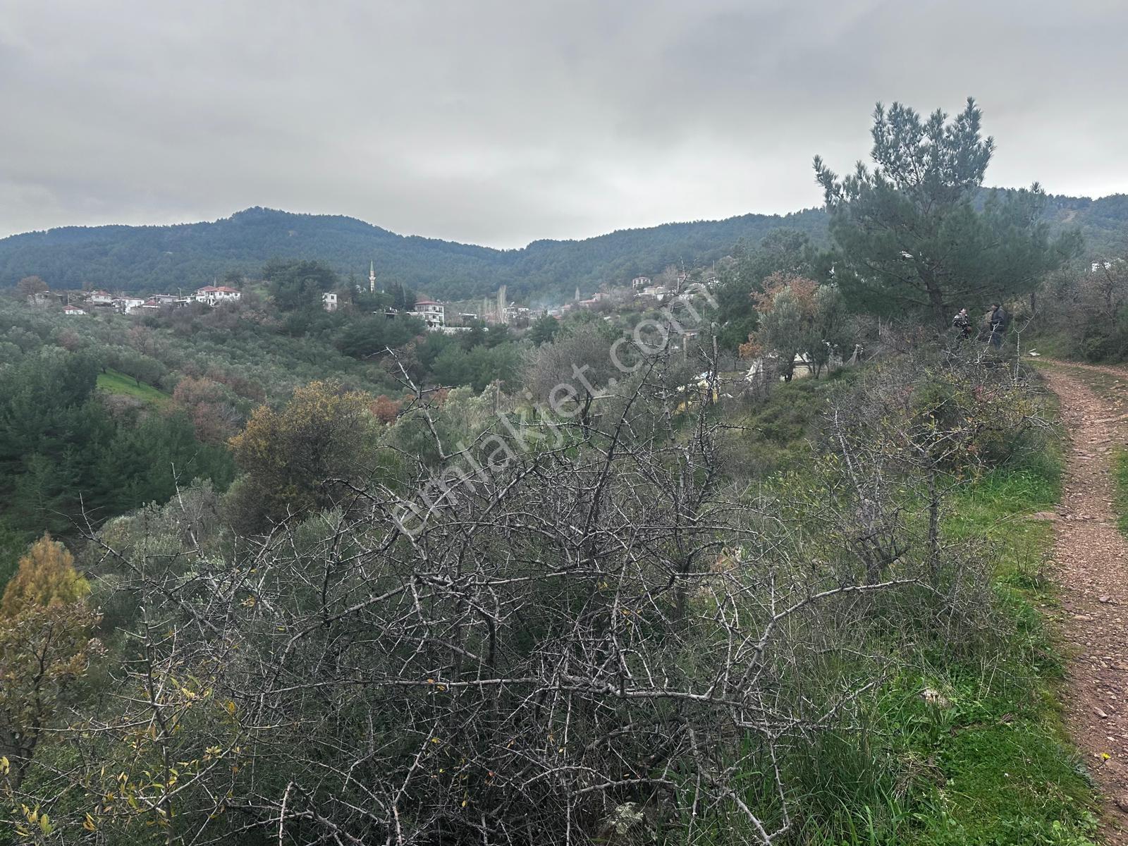 Tamer'den Çetmibaşında Doğa Ve Deniz Manzaralı Satılık Tarla - Görsel 14