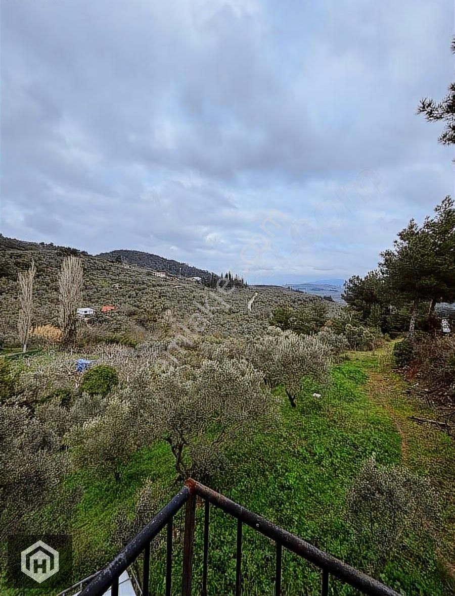 Bursa Mudanya Işıklı Mh Satılık 712mt2 Köye Yakın Zeytinlik - Görsel 12