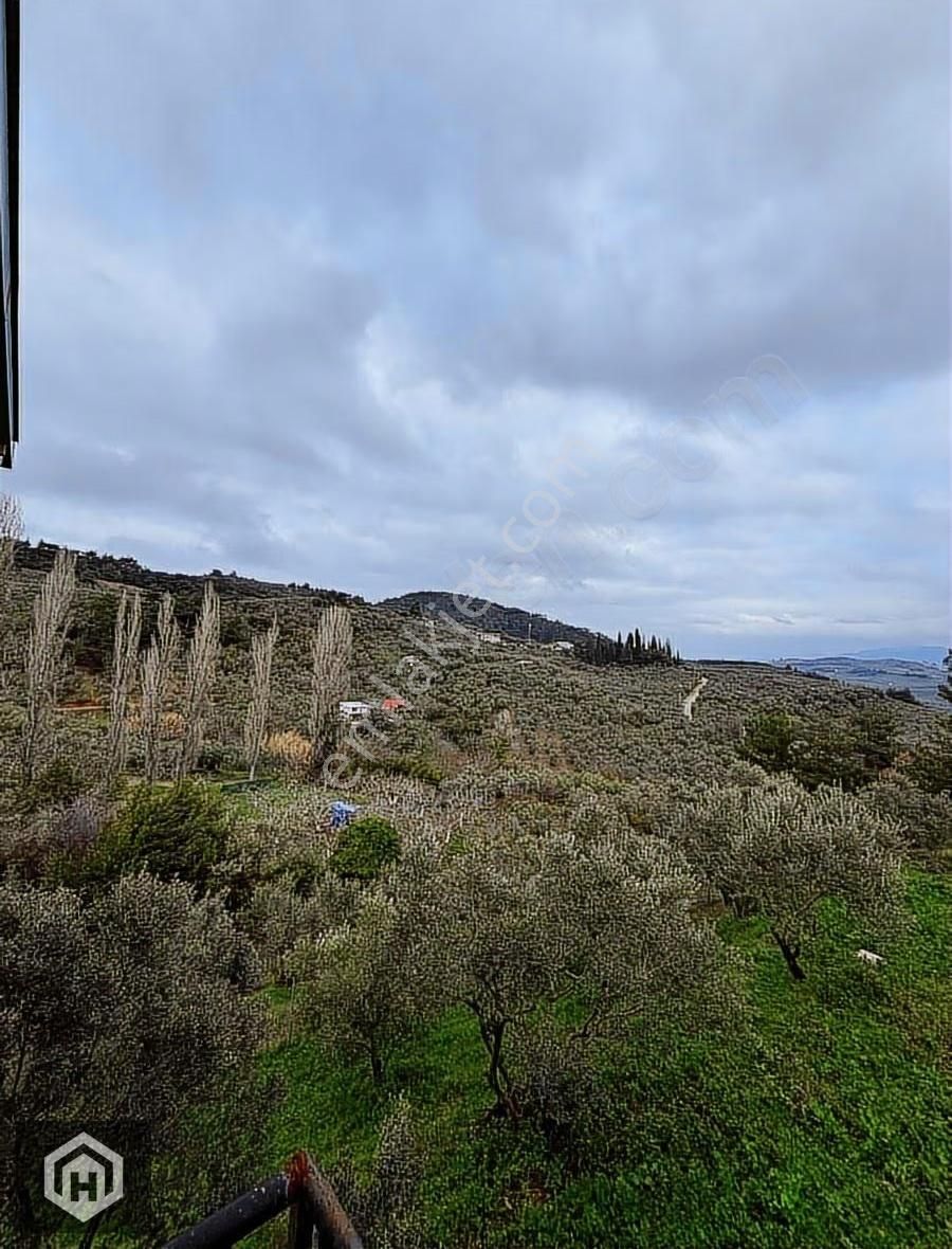 Bursa Mudanya Işıklı Mh Satılık 712mt2 Köye Yakın Zeytinlik - Görsel 34