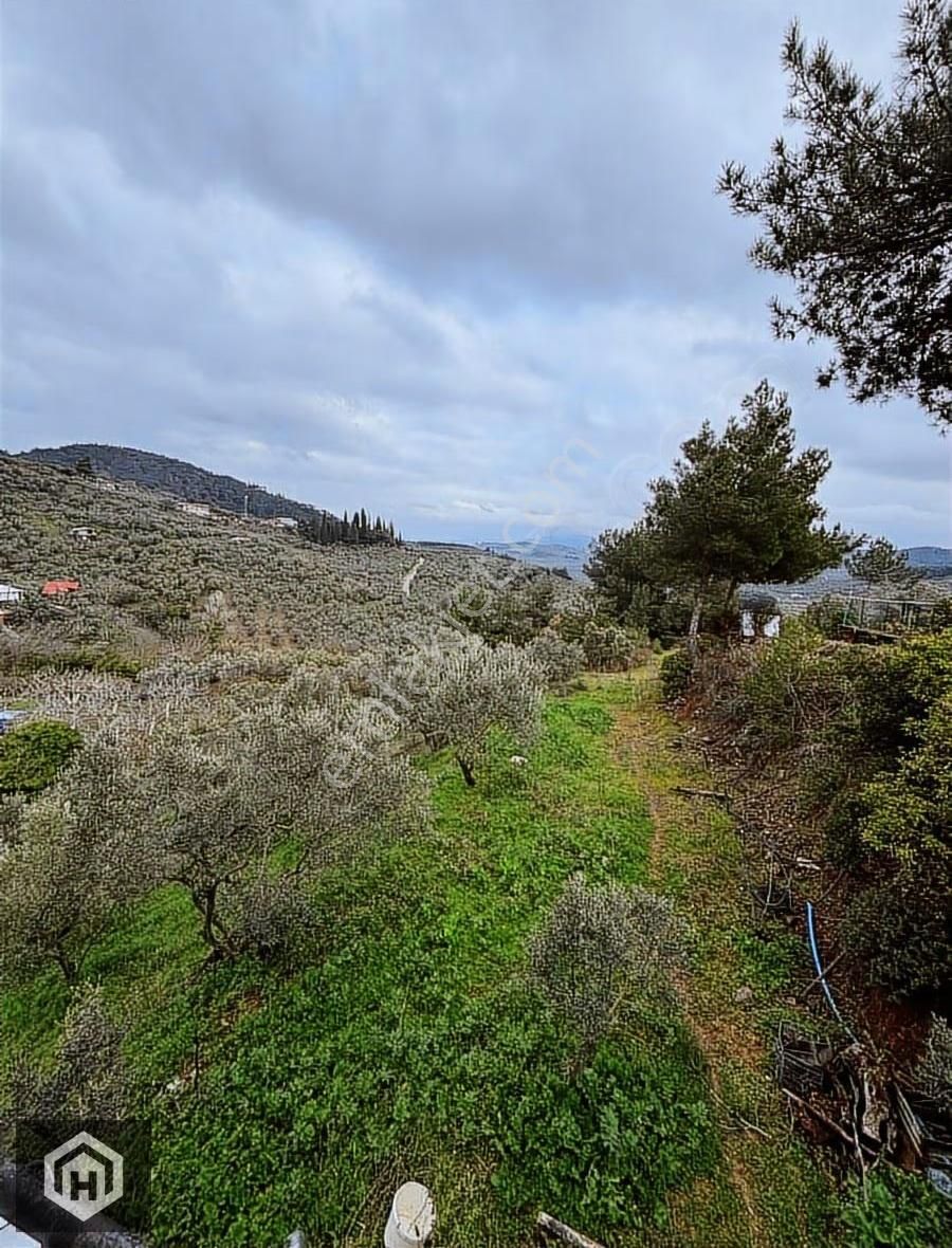 Bursa Mudanya Işıklı Mh Satılık 712mt2 Köye Yakın Zeytinlik - Görsel 10