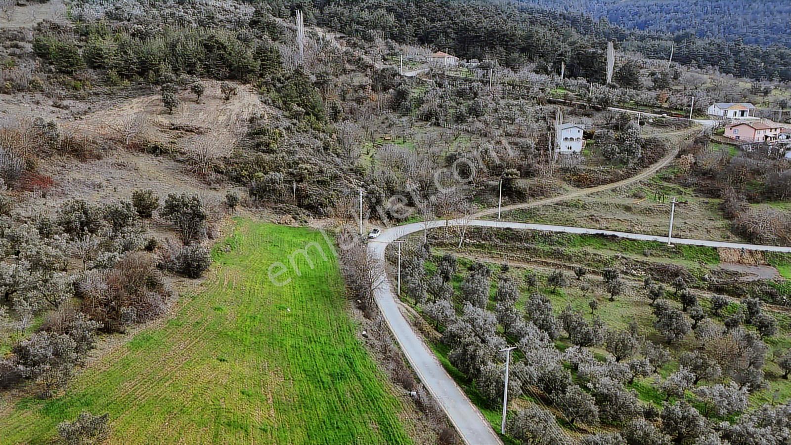Tarcanlardan Geyve Doğantepede %40 İmarlı 990 M² Satılık Arsa - Görsel 15