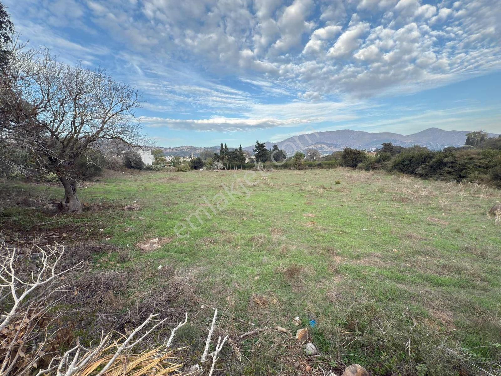 Bodrum Gümüşlük Köyiçi Satılık Arsa - Görsel 4