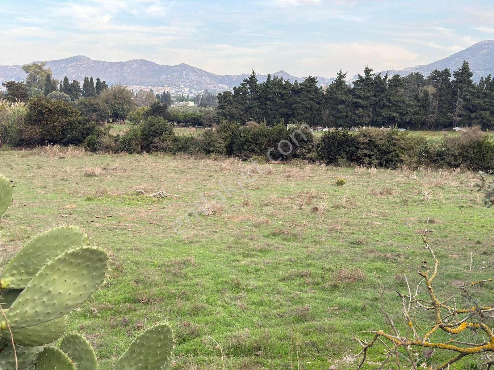 Bodrum Gümüşlük Köyiçi Satılık Arsa - Görsel 3