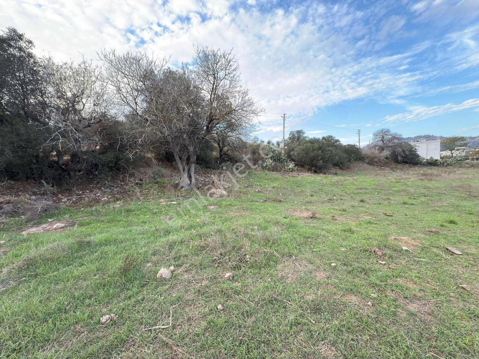 Bodrum Gümüşlük Köyiçi Satılık Arsa - Görsel 2