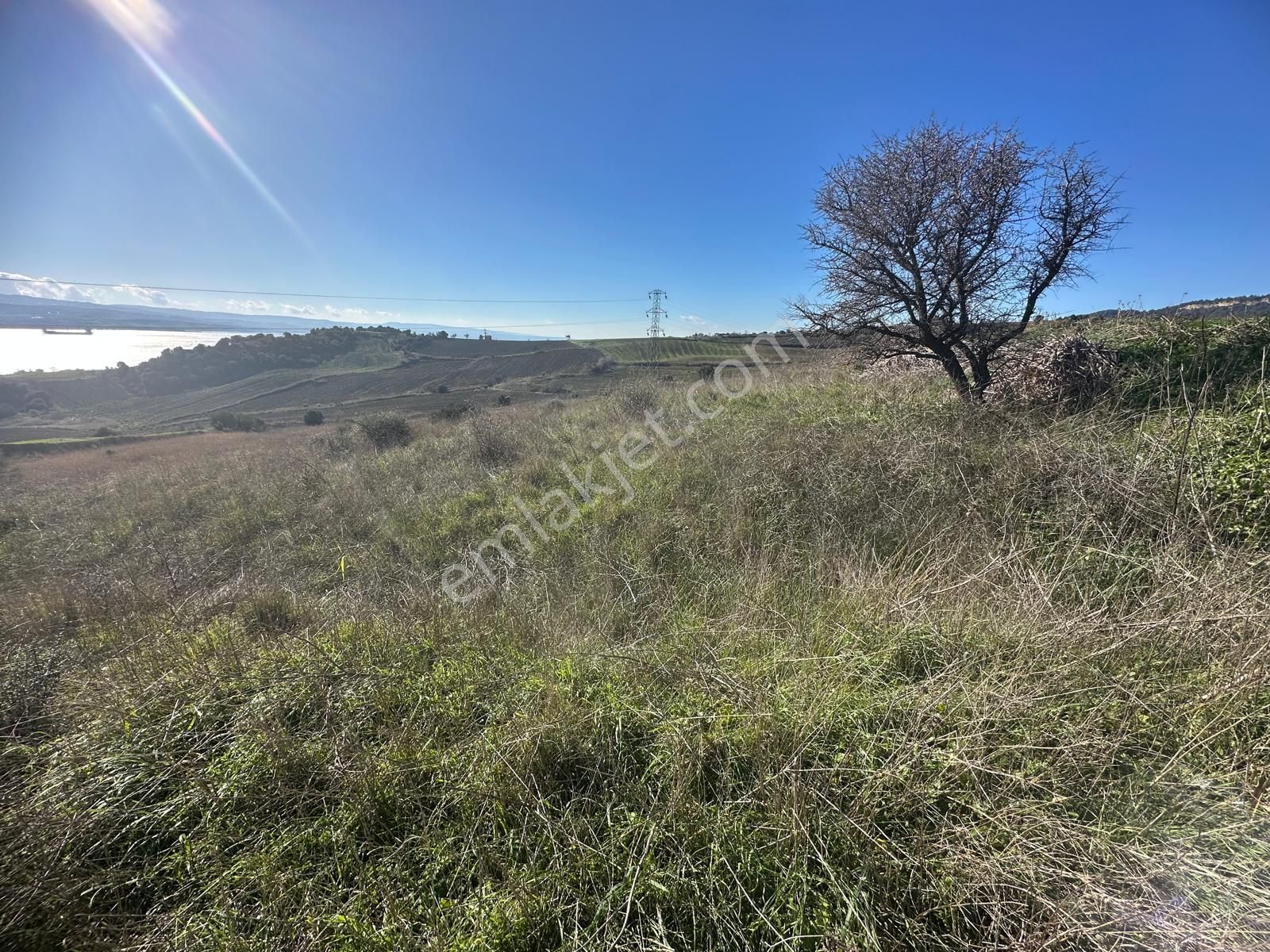 Muhteşem Boğaz Ve 1915 Köprü Manzaralı Acil Satılık Arazi - Görsel 13