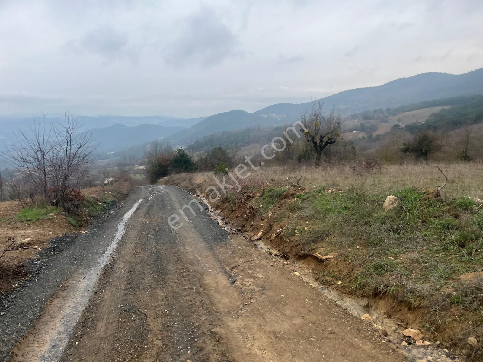 Sakarya Geyve Ilıca Mahallesı’nde 2107 Metre² Resmı Yola Cephelı Alabalık Tesısın Dıbınde Arsa - Görsel 2