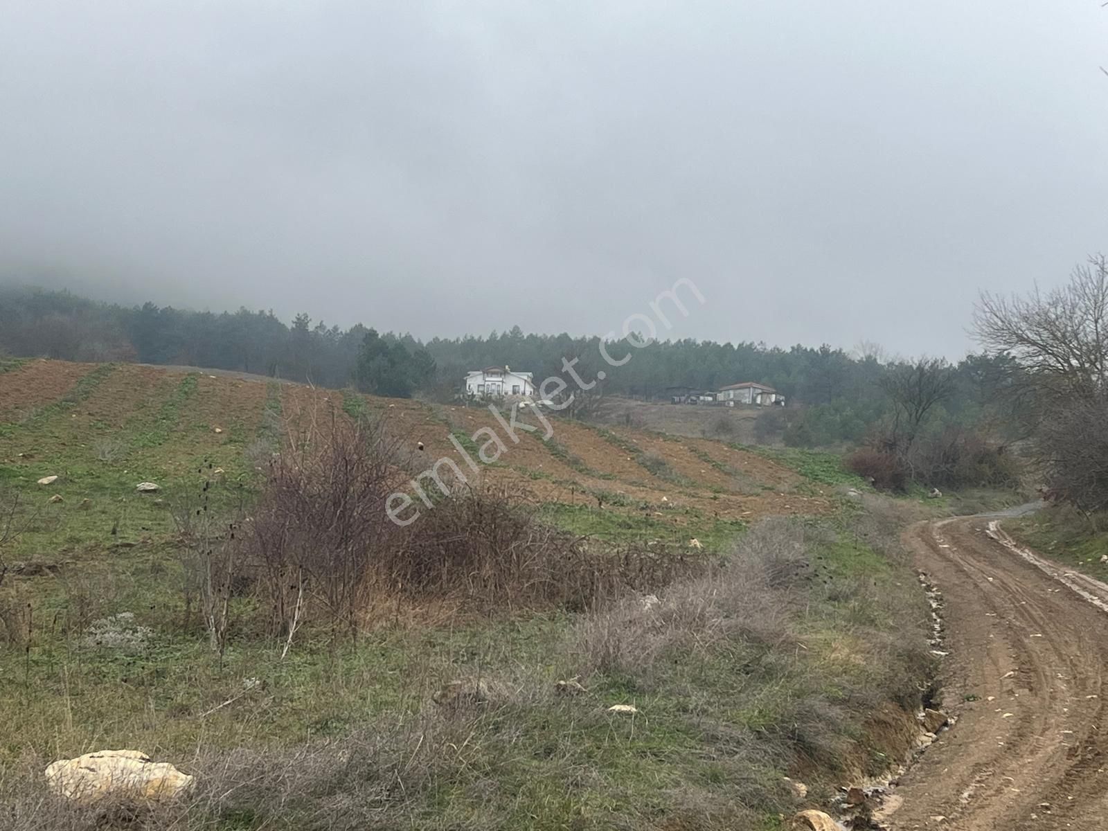 Sakarya Geyve Ilıca Mahallesı’nde 2107 Metre² Resmı Yola Cephelı Alabalık Tesısın Dıbınde Arsa - Görsel 14